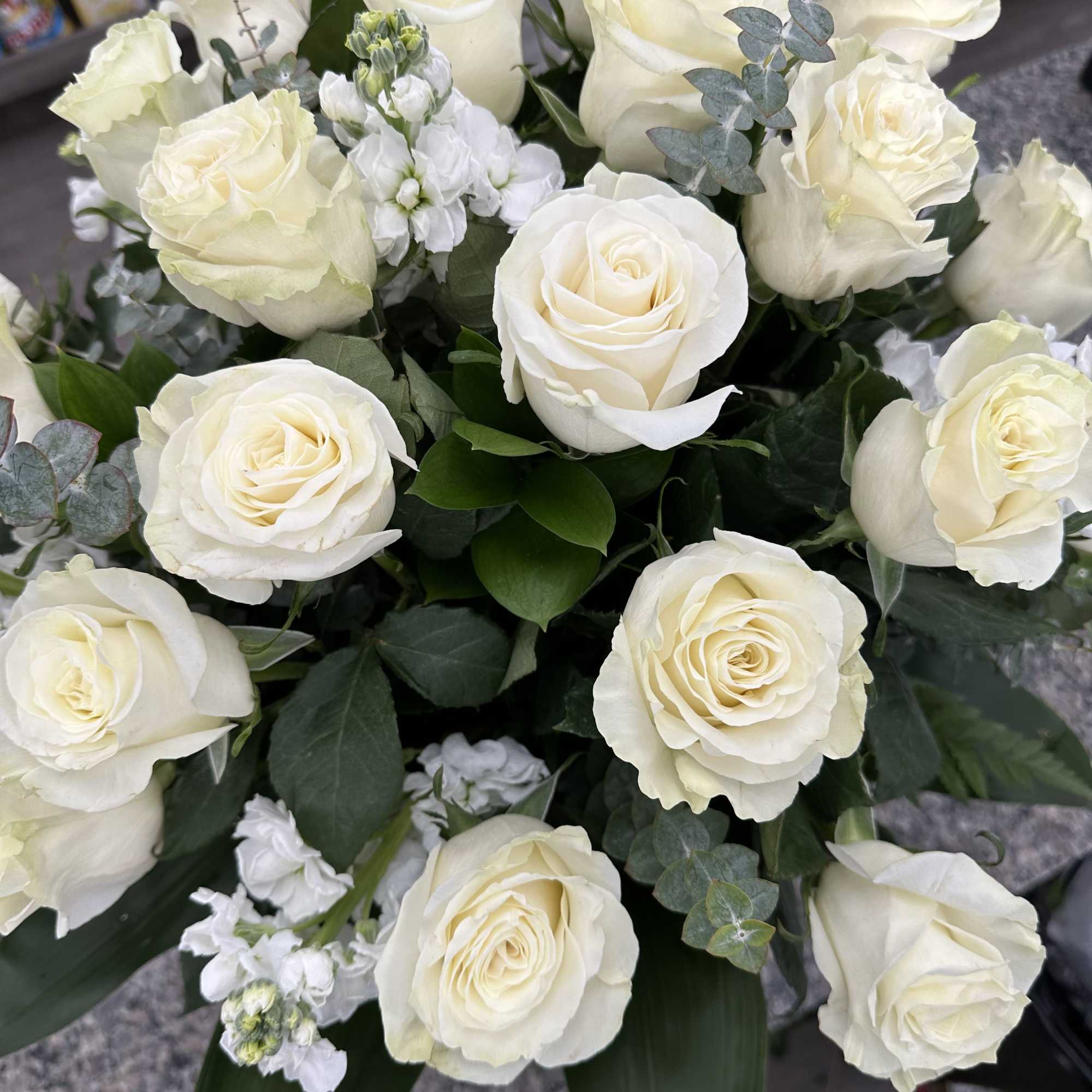 A dozen white roses are a classic gift! Perfect for Valentine's Day