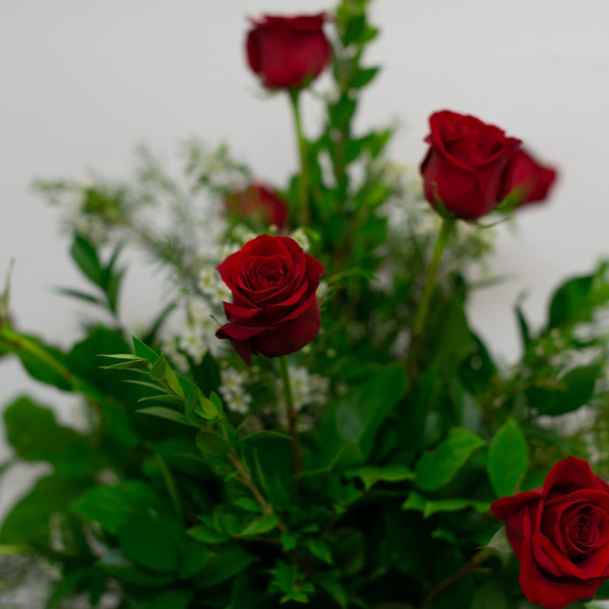 12 Red Roses arranged with greenery and filler in a simple vase.