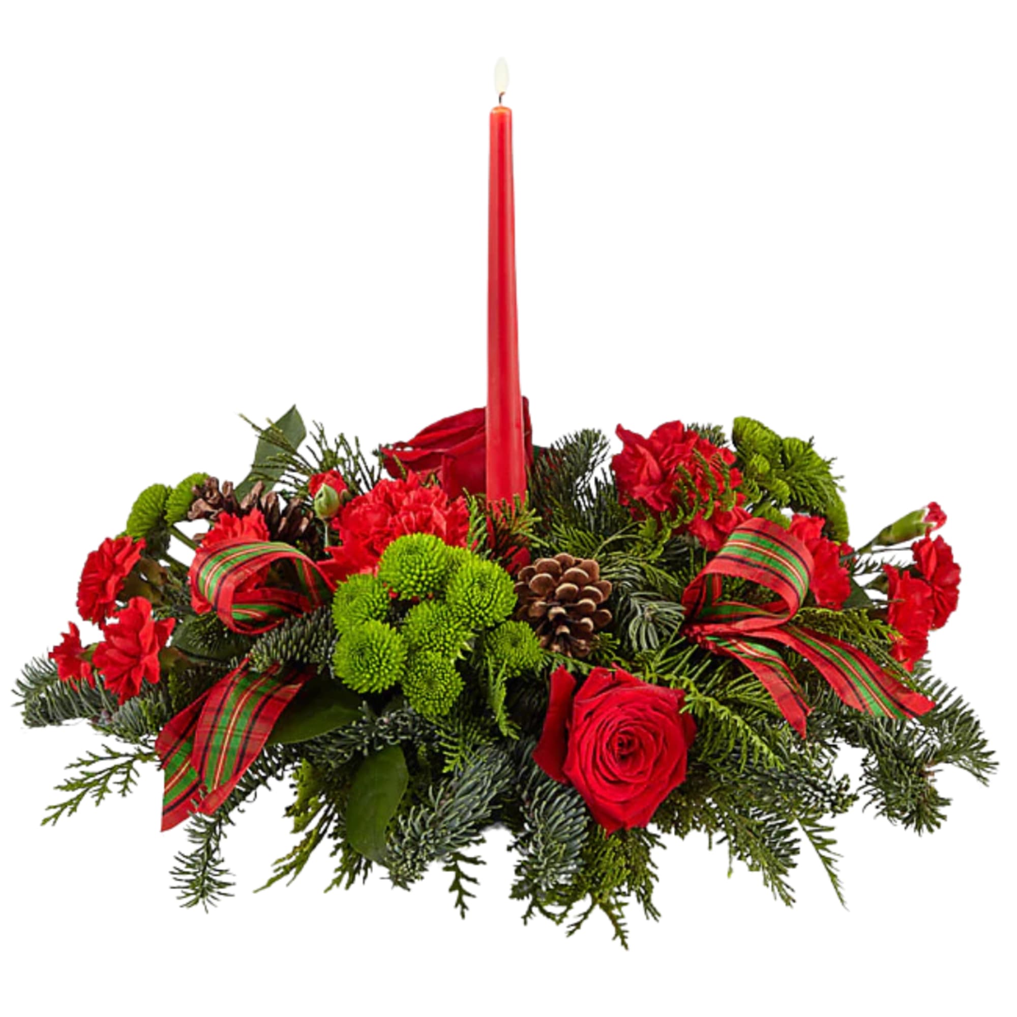 A festive mix of evergreens, red blooms, pinecones, and plaid ribbon surrounds