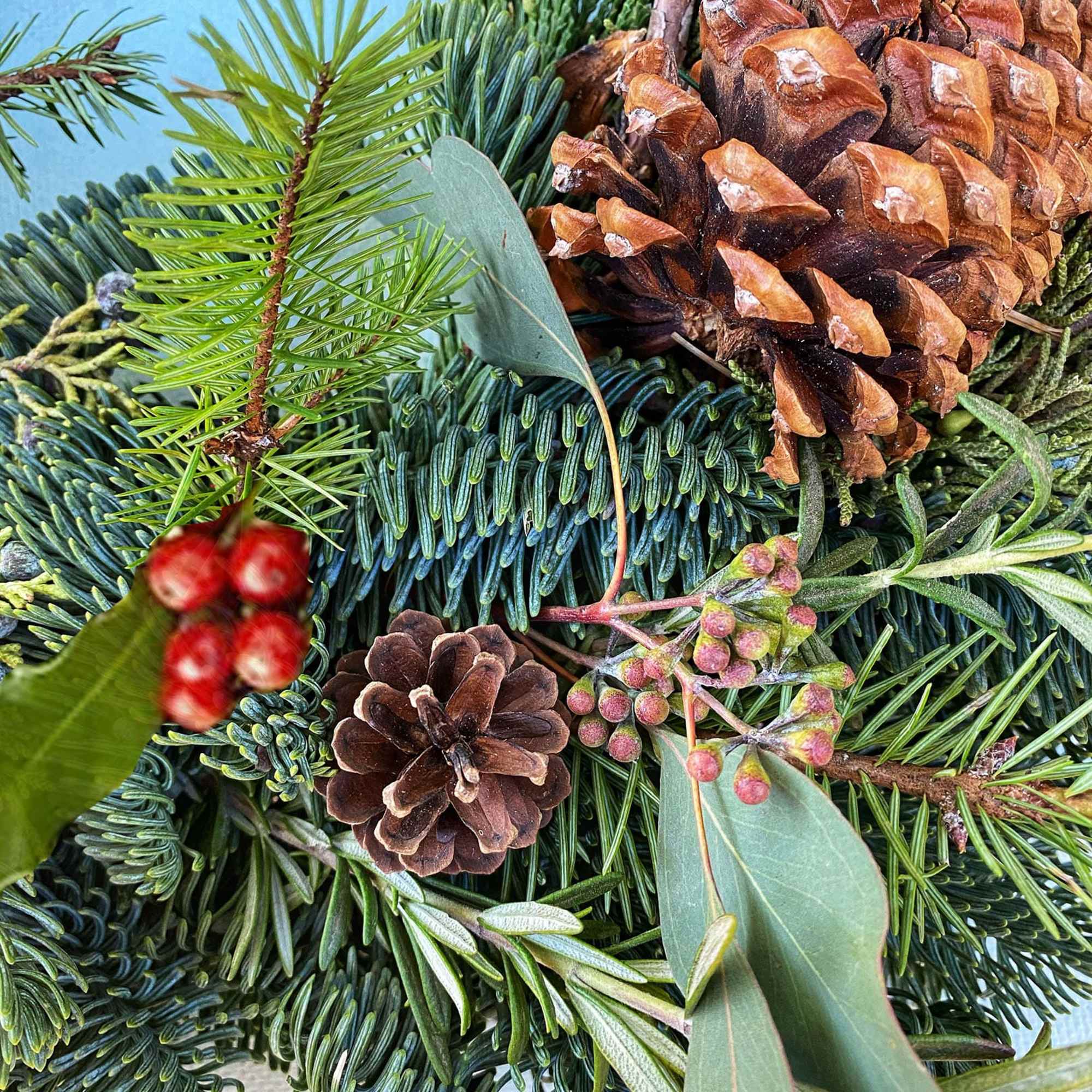 Organic and fresh 20&quot; wreath of different pines (juniper, douglas, noble), with