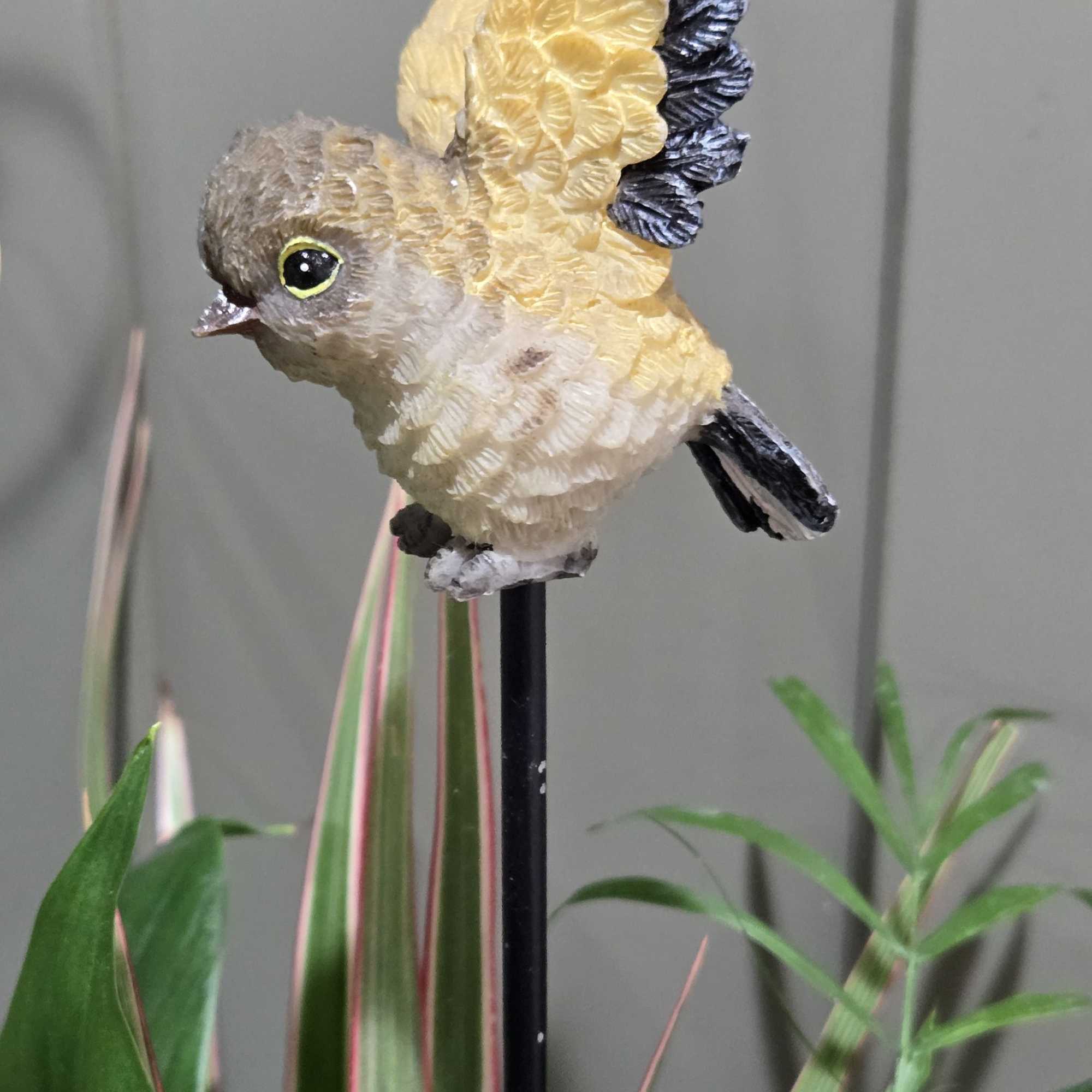 Simplicity of nature!
This one-of-a-kind custom designed indoor garden planter with a variety