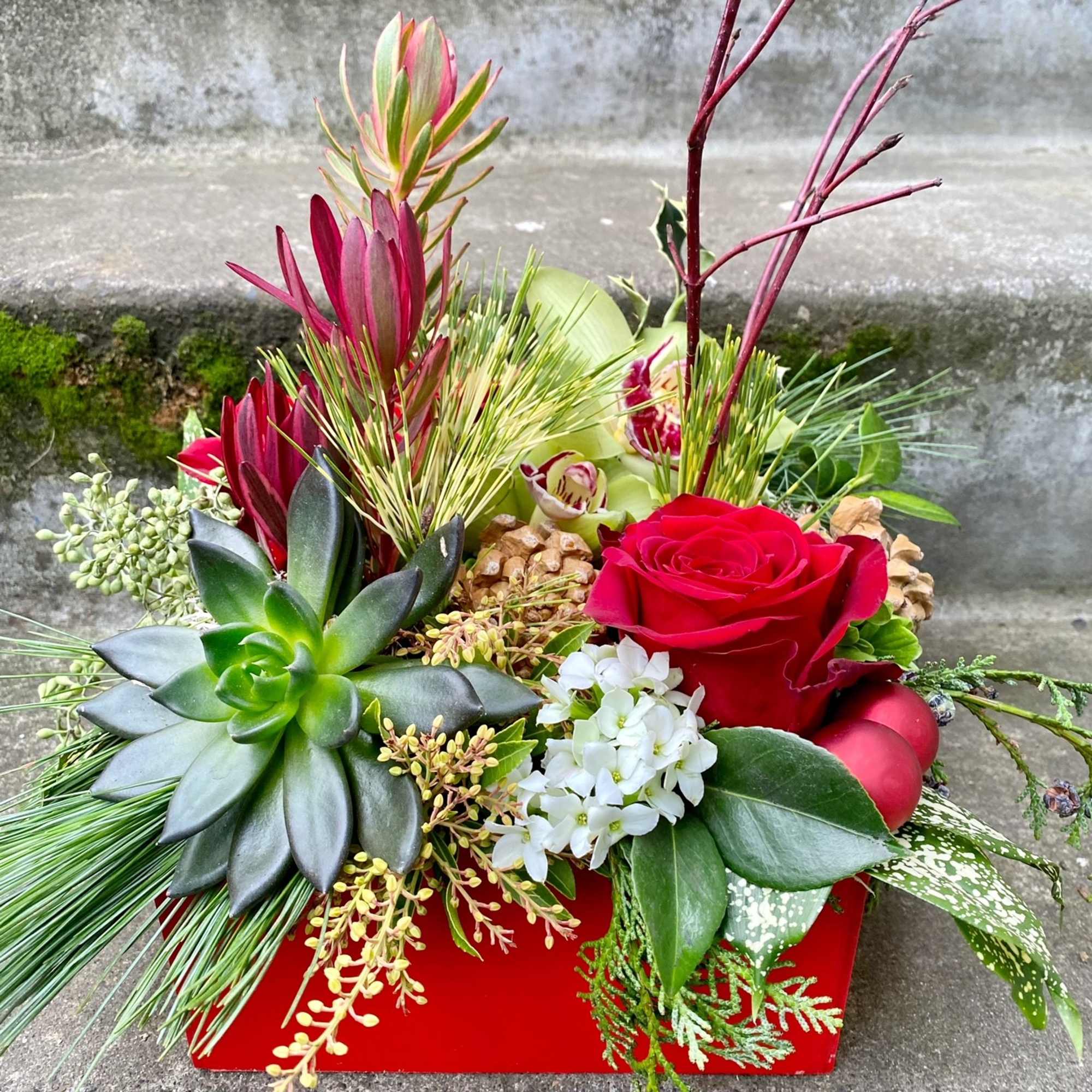 Available beginning December 3rd.

Joy to the World is a limited-edition version of