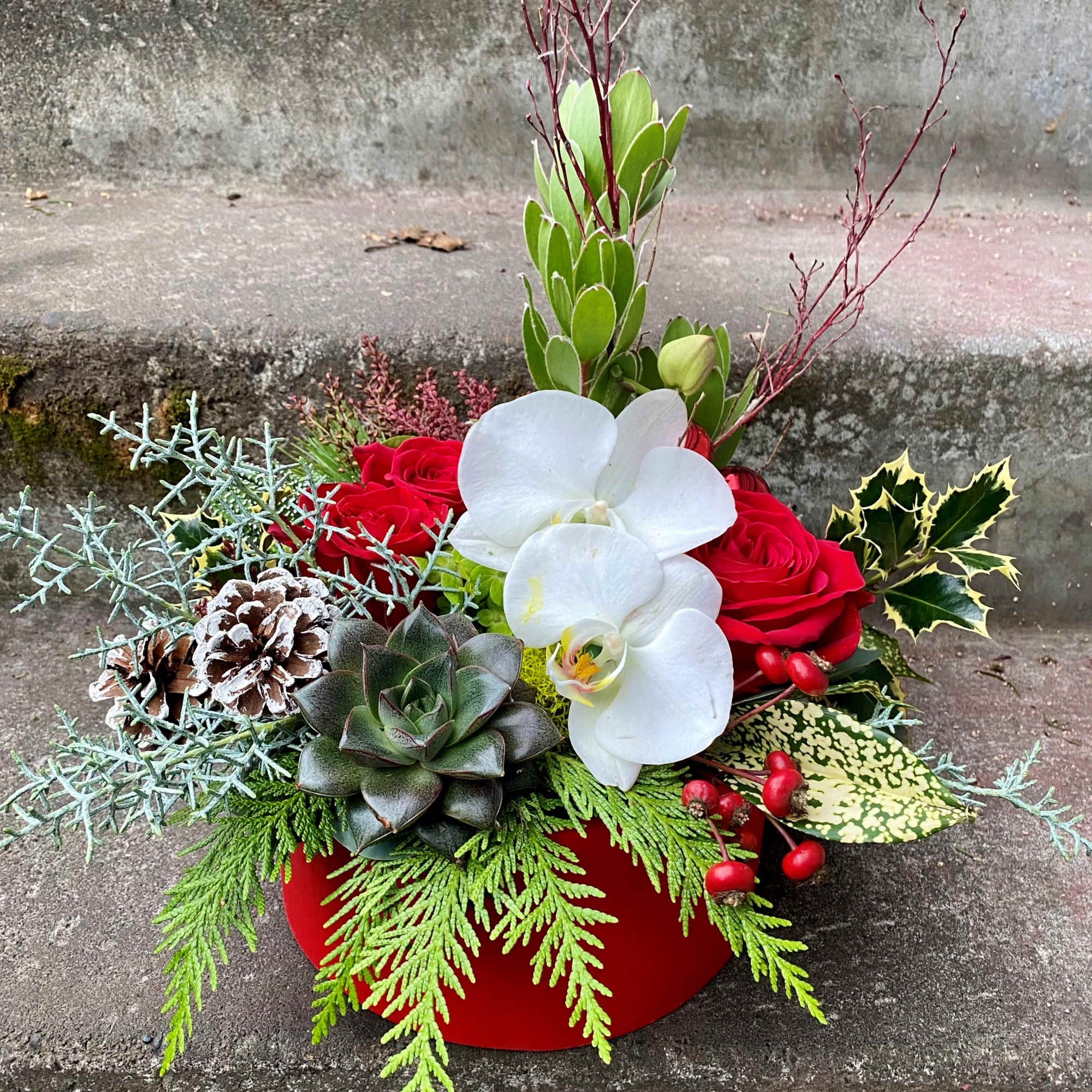 Available beginning December 3rd.

Joy to the World is a limited-edition version of