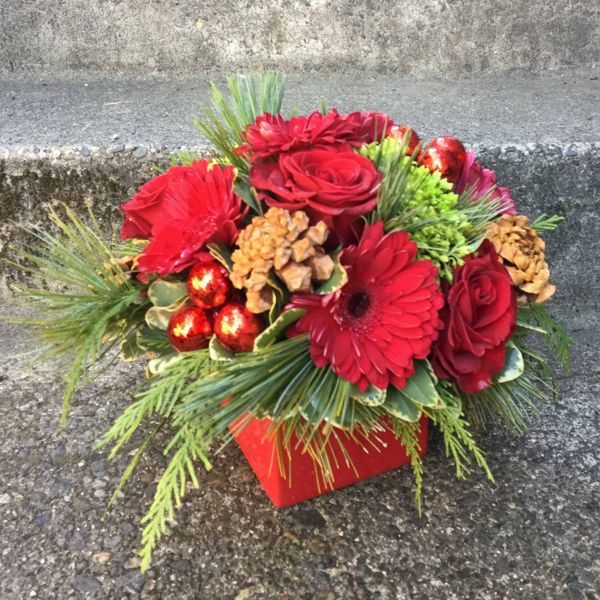 Available beginning December 3rd.

Send your best holiday wishes with a custom Christmas