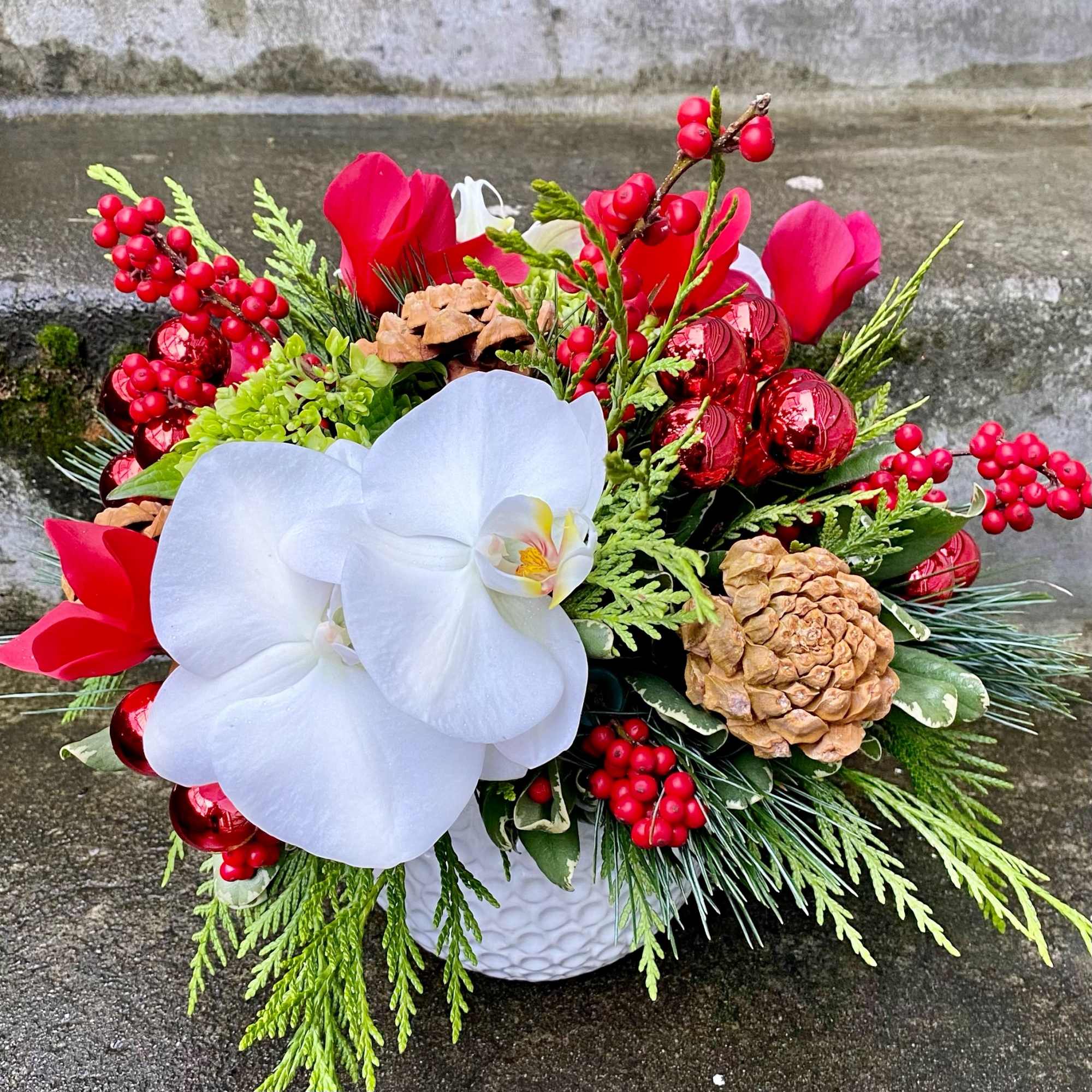 Available beginning December 3rd.

Send your best holiday wishes with a custom Christmas