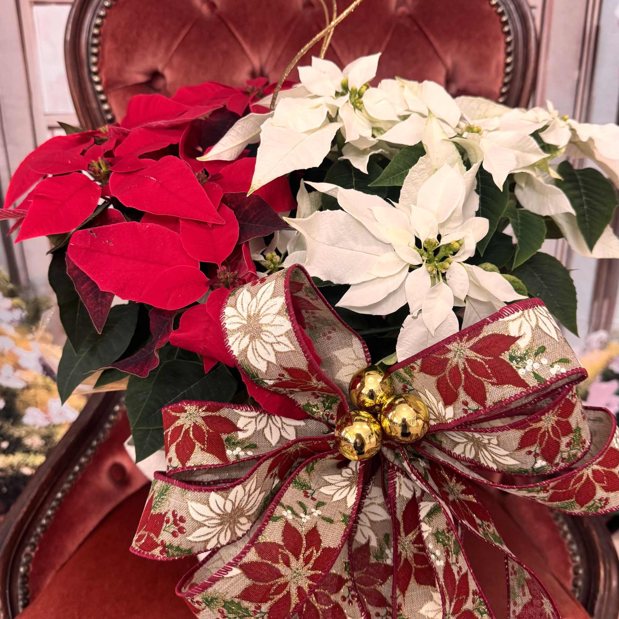 We can change the color of the bow to whatever color you