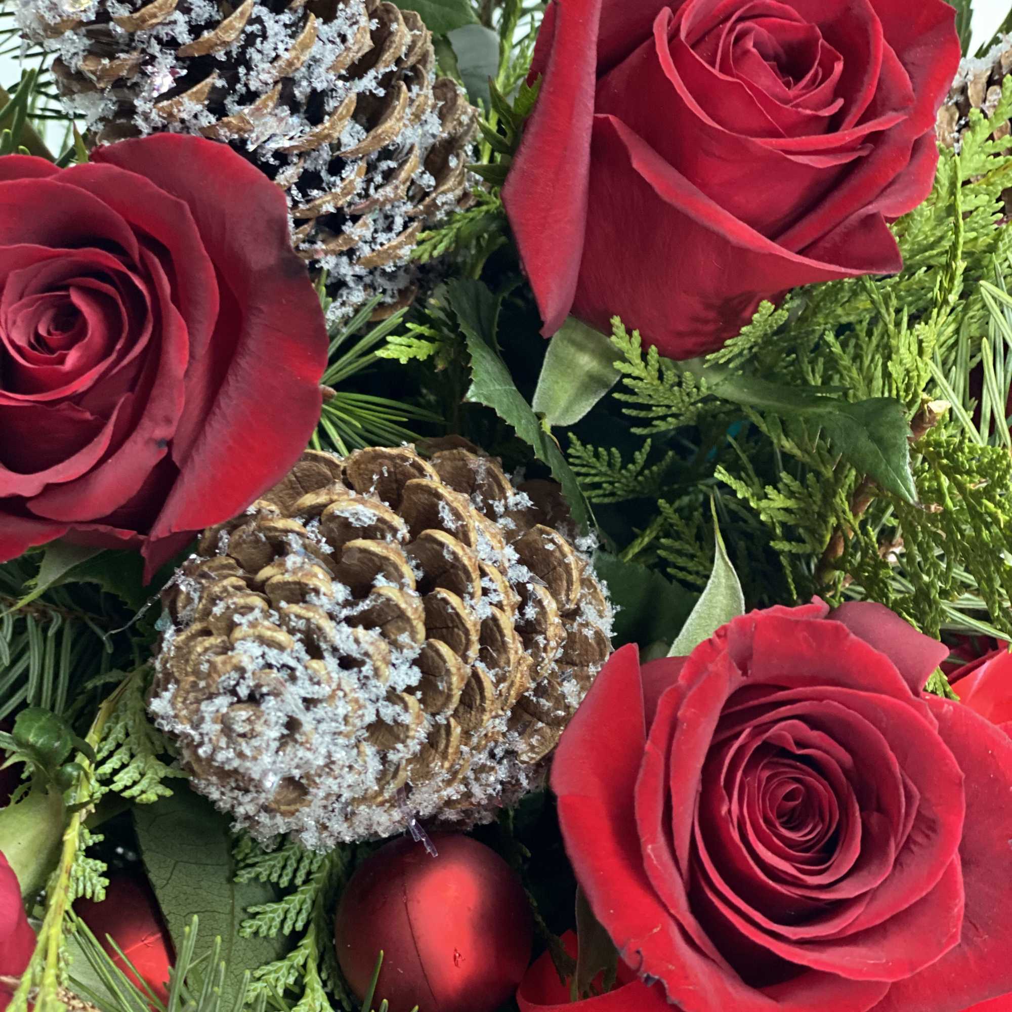 Santa baby really loves me 12 red roses arranged in a beautiful