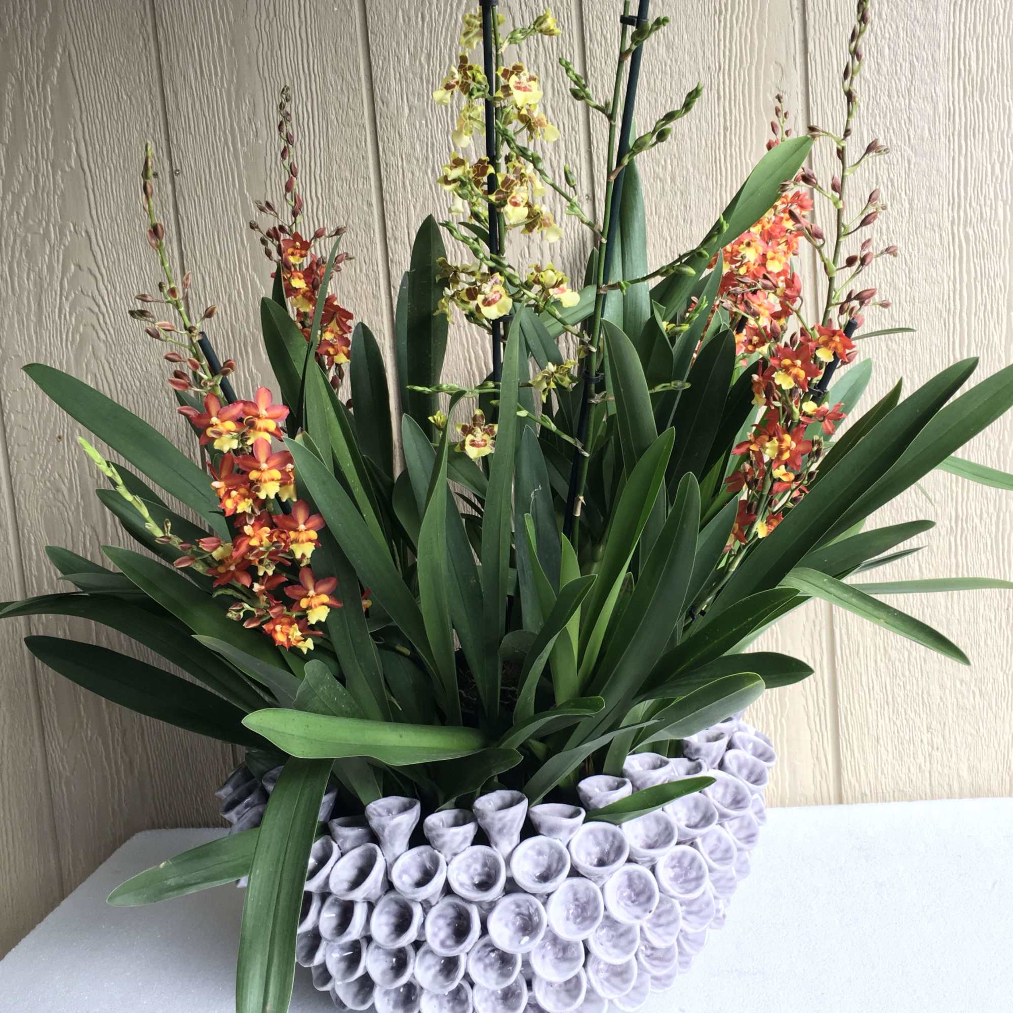 Beautiful orchids in a very unusual vase 