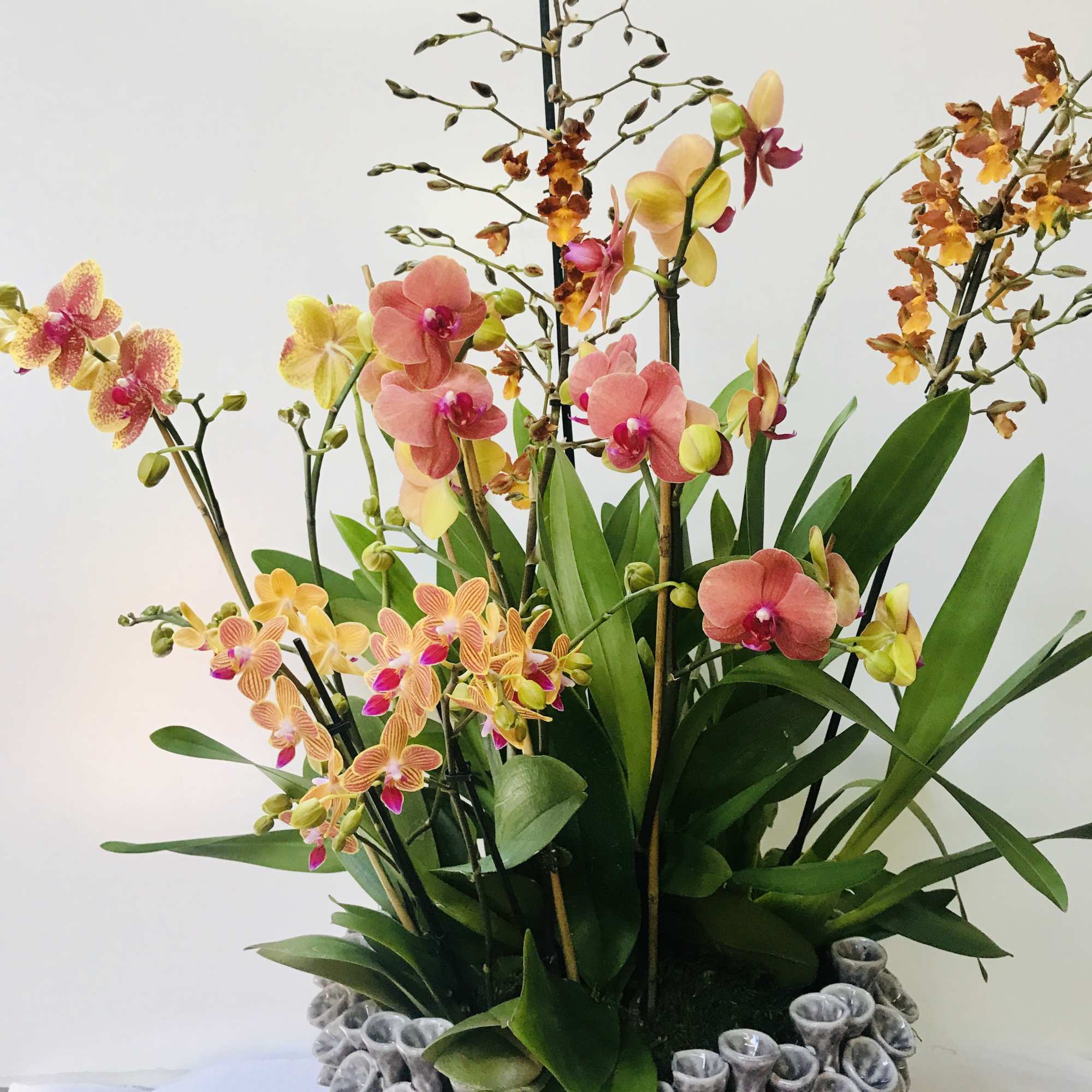 Beautiful orchids in a very unusual vase 