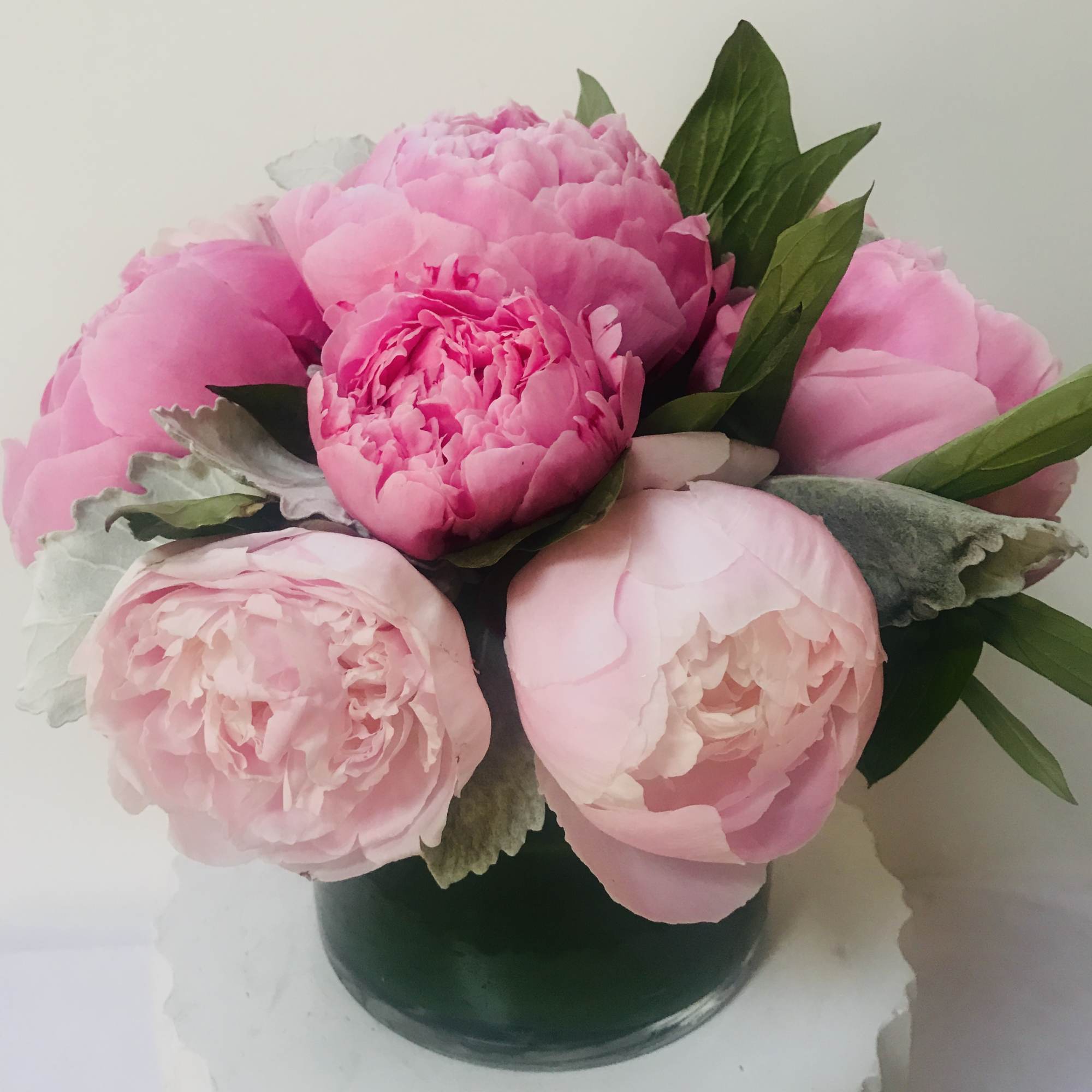 
In a  glass a 10 beautiful pink ,white peonies 
