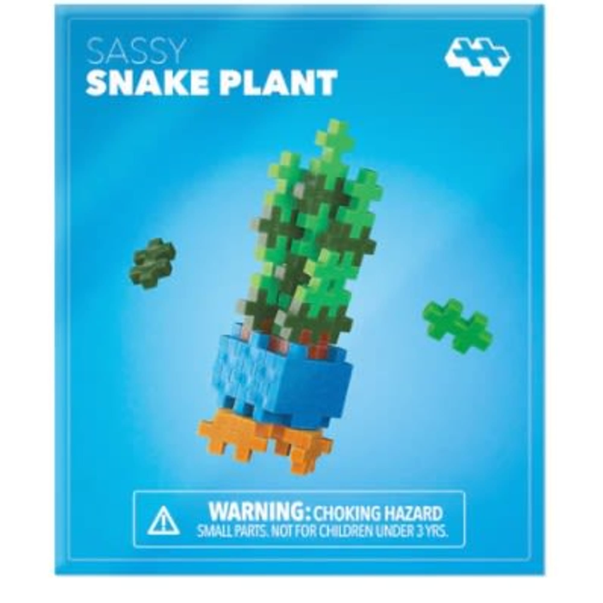 This bold and stylish Sassy Snake Plant pops in earthy shades of