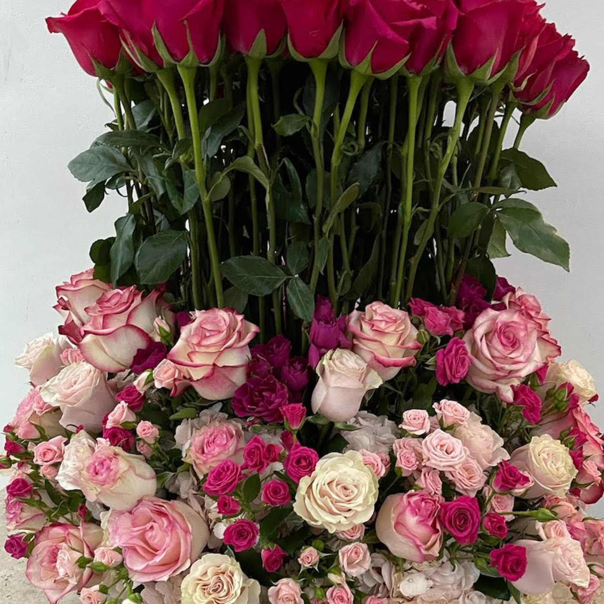 Immerse yourself in the romance of an enchanted fairytale with the &quot;Enchanted