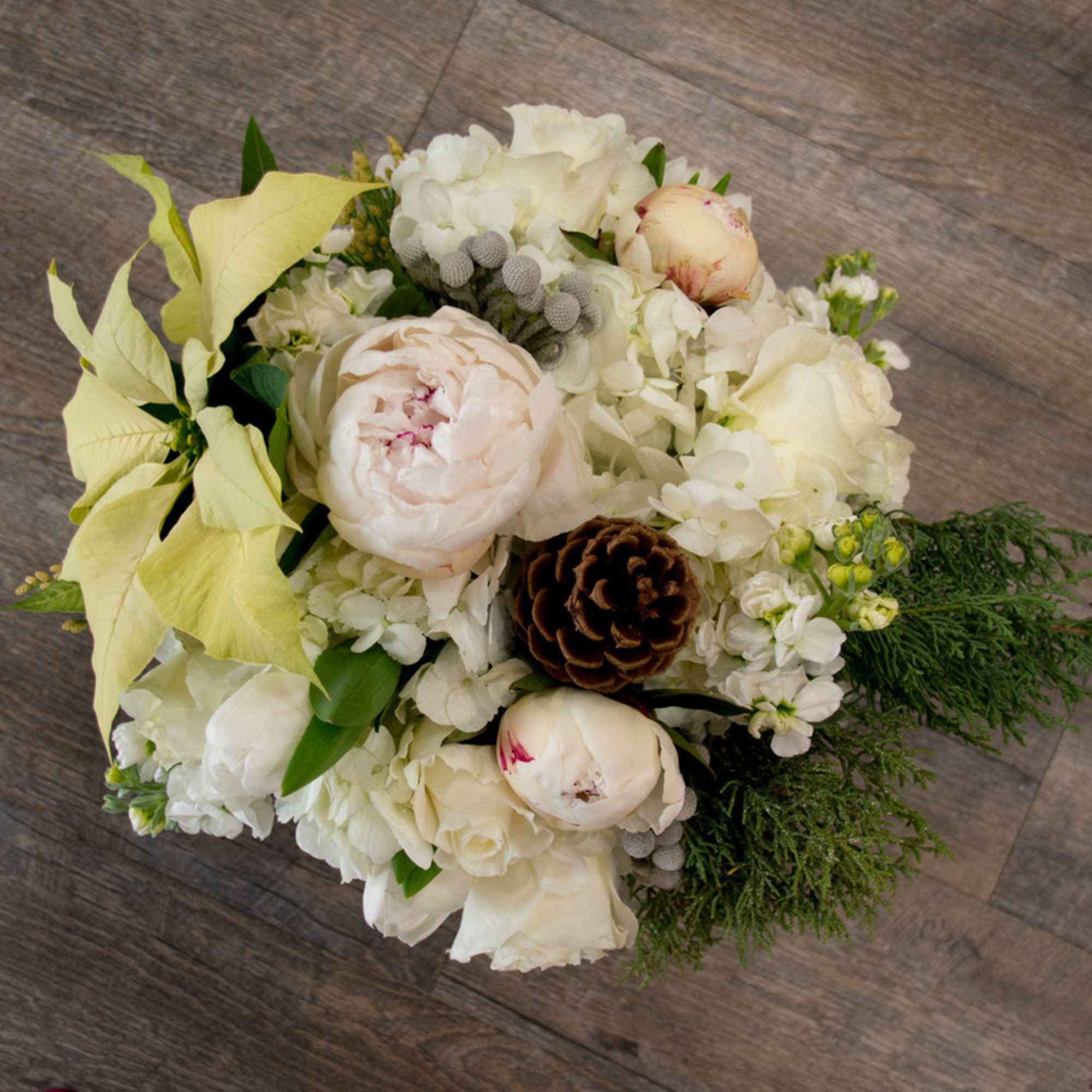      All white flowers, including peonies and poinsettia.