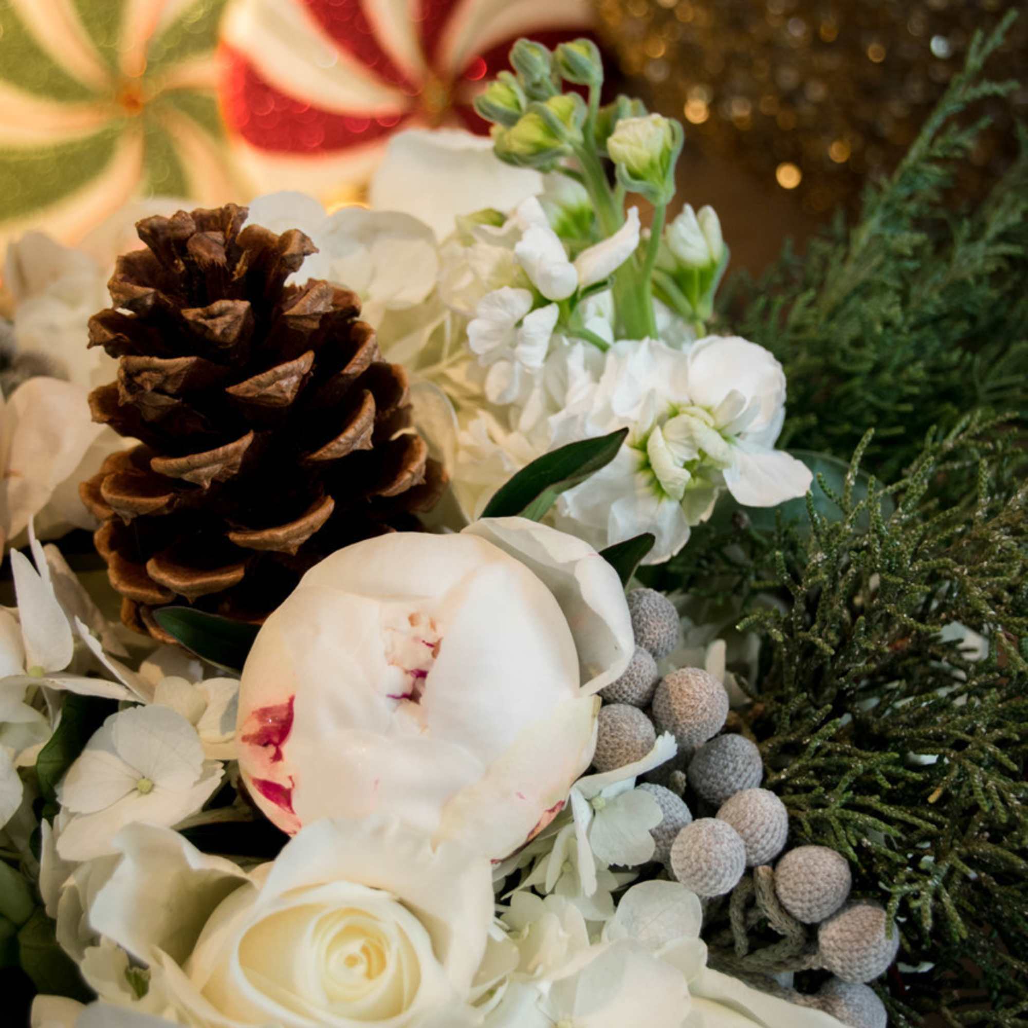      All white flowers, including peonies and poinsettia.