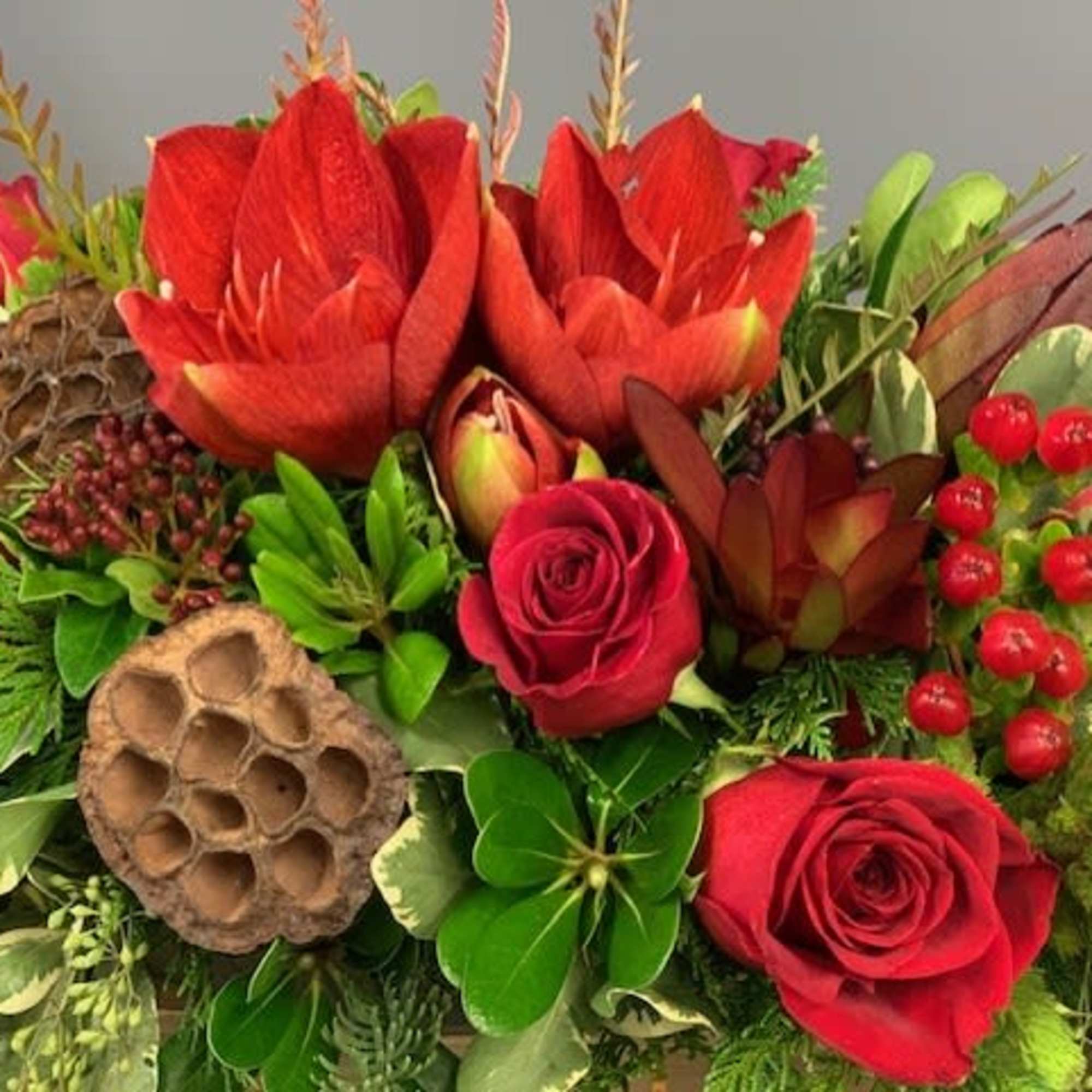 Red amaryllis and red roses accented with winter greens 