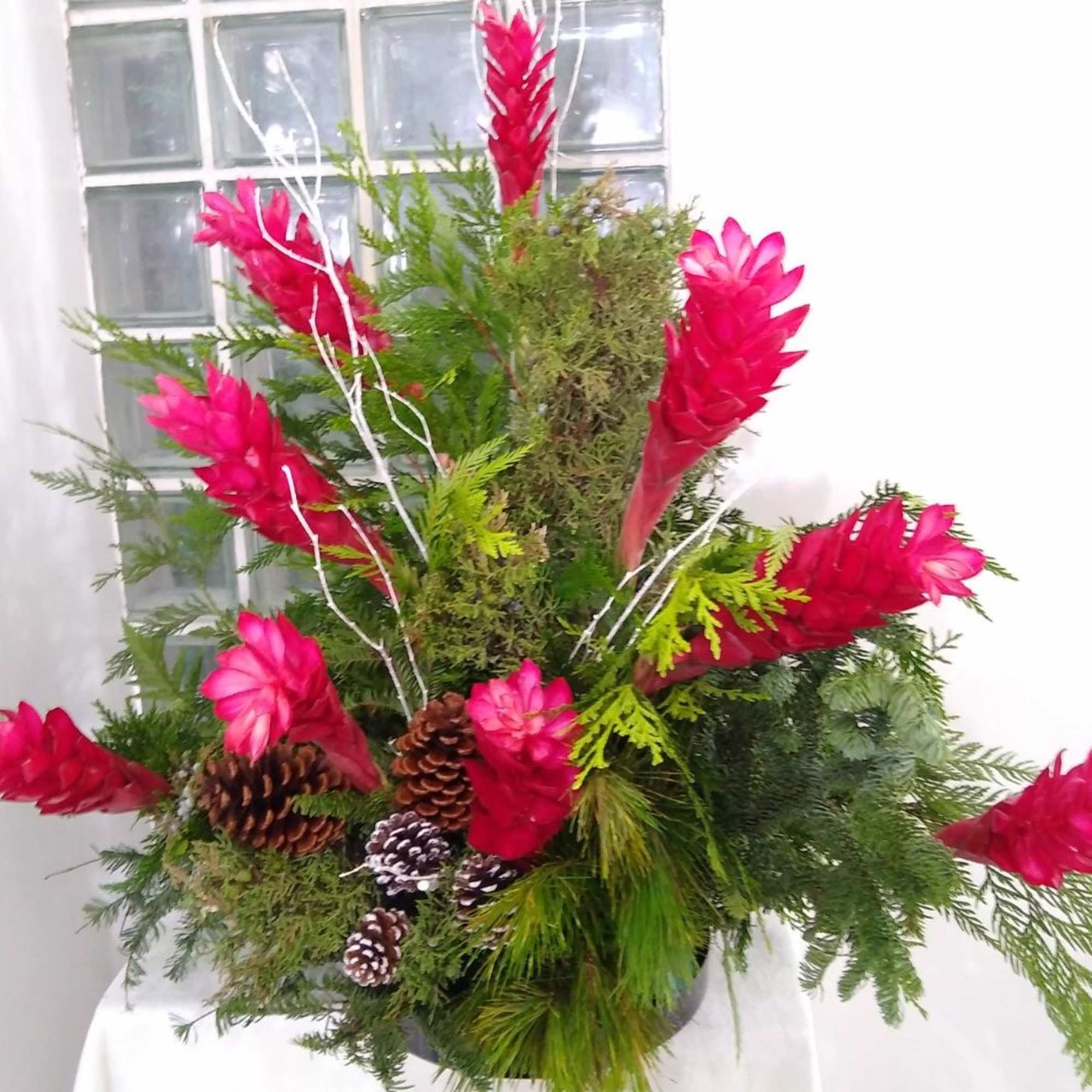 Celebrate the tropics of Miami with the flair of New England wintergreens.