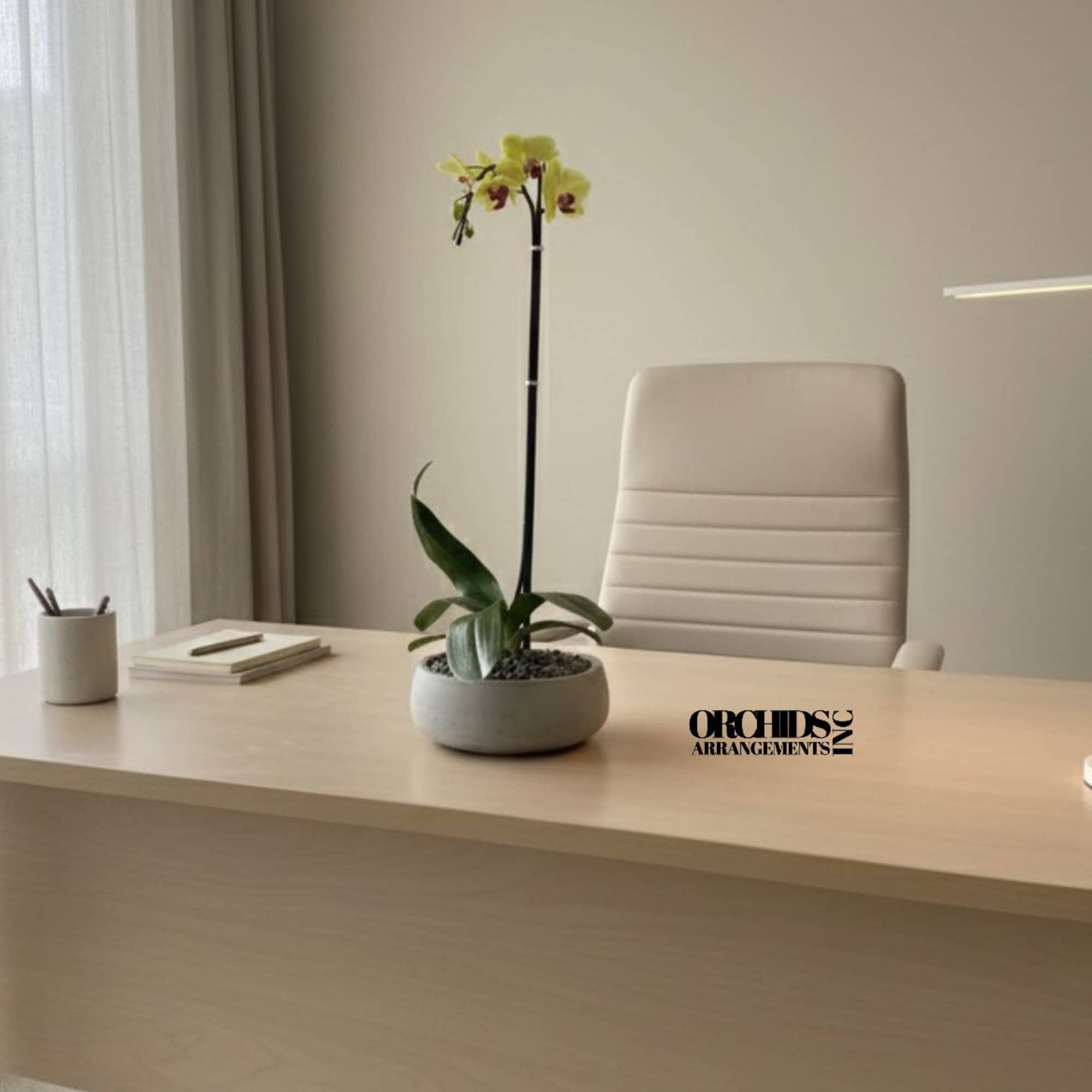 A high quality Single Yellow orchid arrangement with a vase 8.5&quot; D