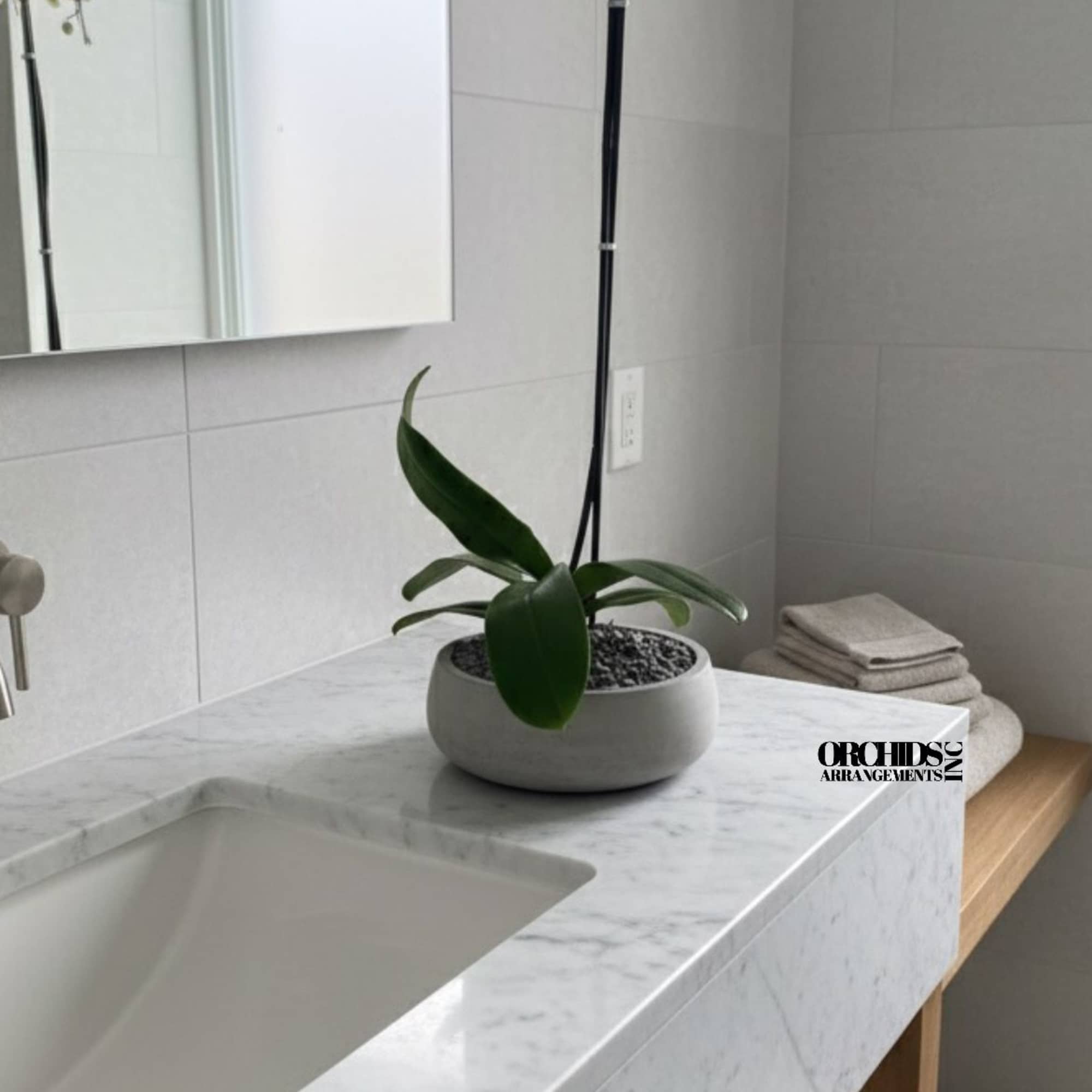 A high quality Single Yellow orchid arrangement with a vase 8.5&quot; D