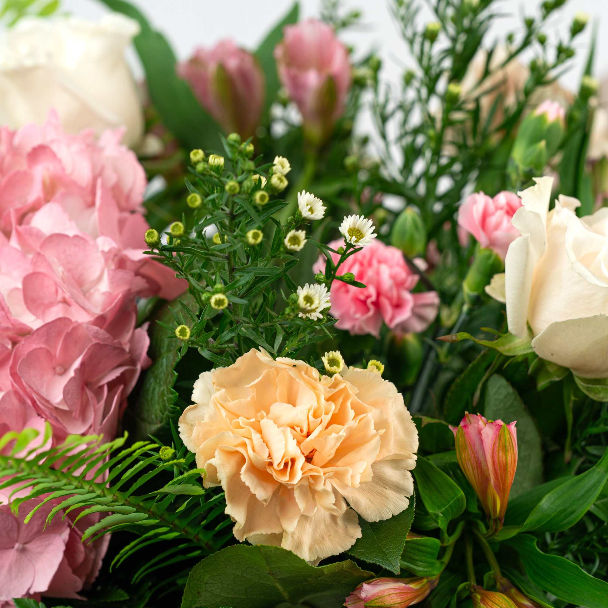 Our Timeless Collection's Blush Blooms features elegant blooms in soft blush hues