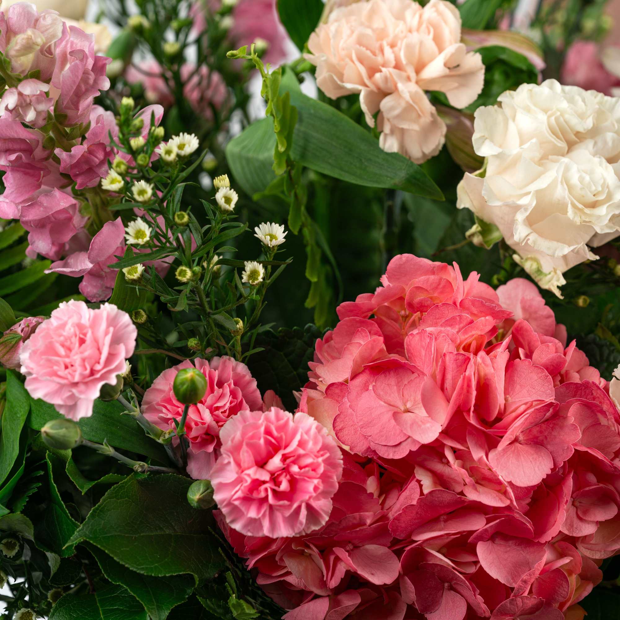 Our Timeless Collection's Blush Blooms features elegant blooms in soft blush hues