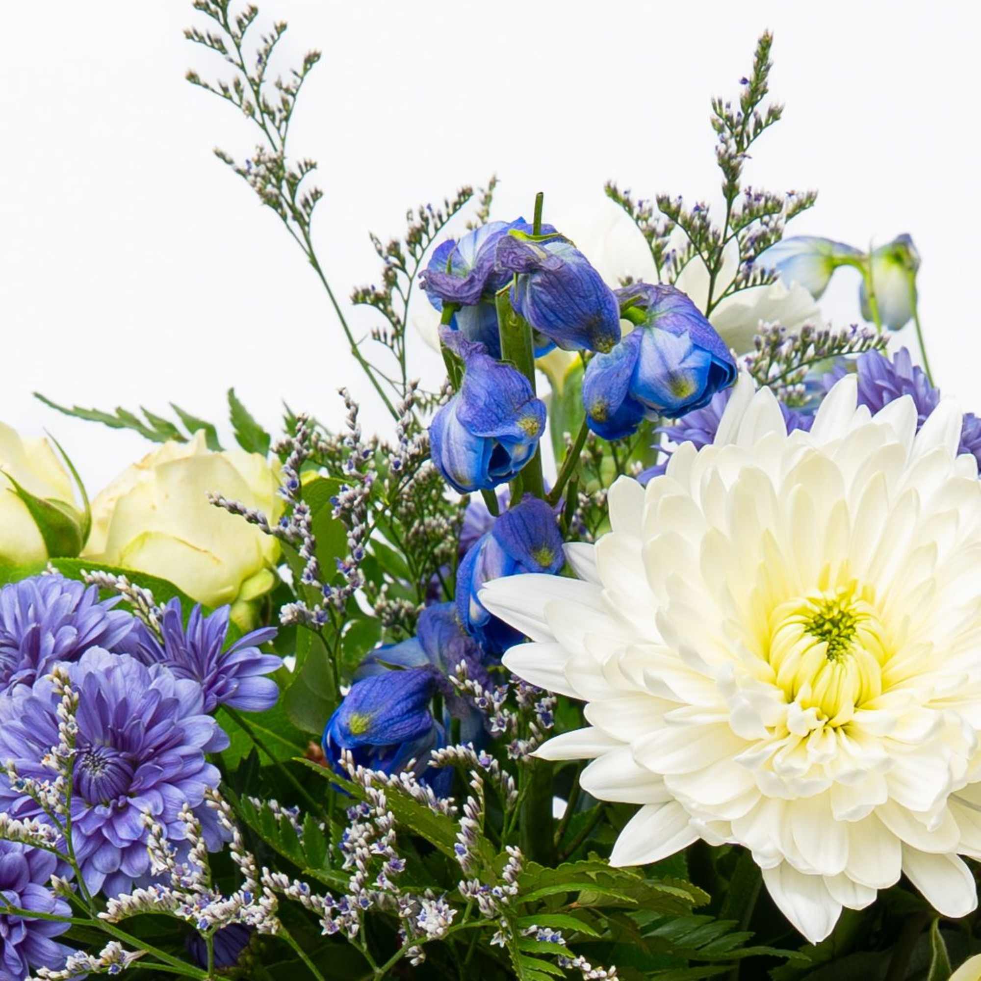 This is a Florist's Choice Arrangement. Let the Schultz Floral Team in