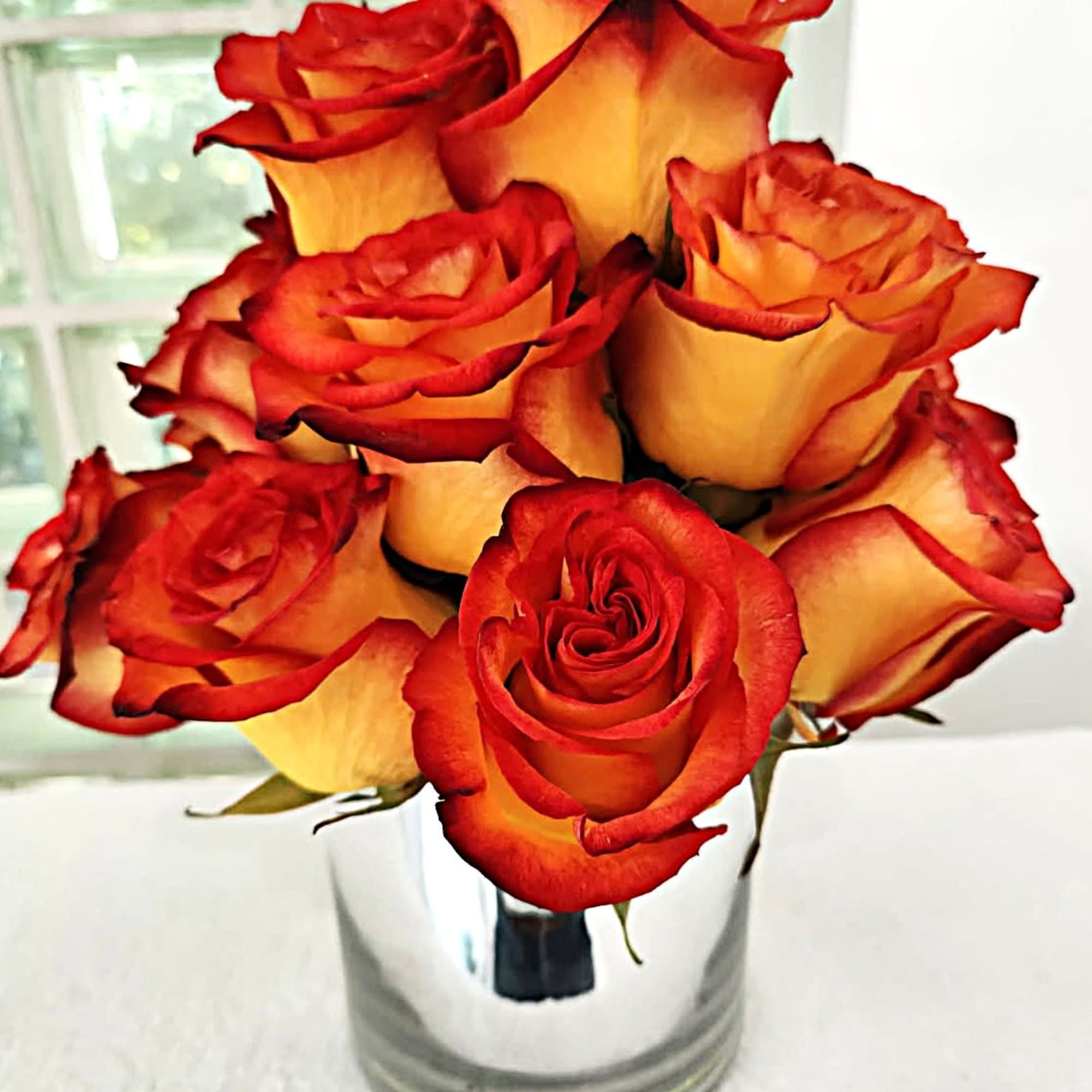 Cherry Brandy roses are yellow with a tinge of hot pink. 