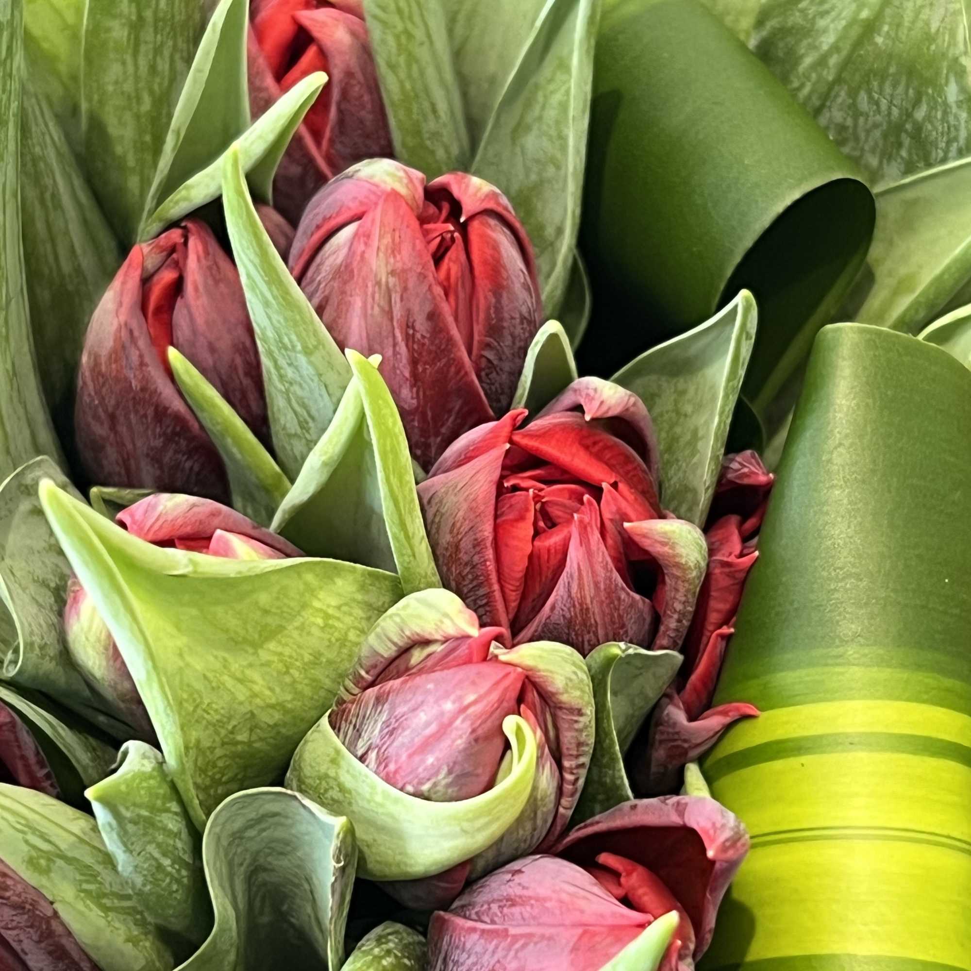 This simple yet elegant display features a curated selection of vibrant dutch