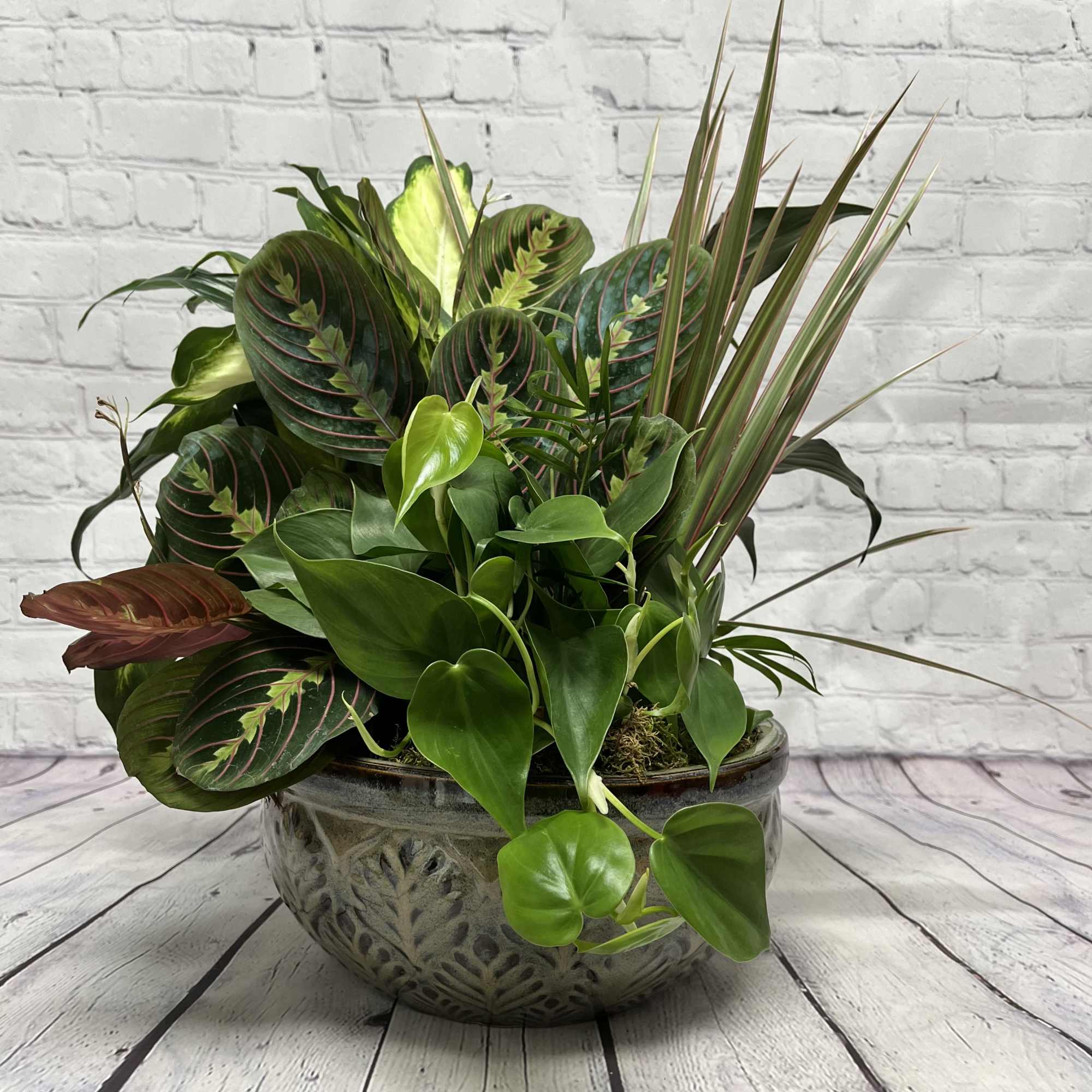 This bountiful selection of green foliage plants in a ceramic container is