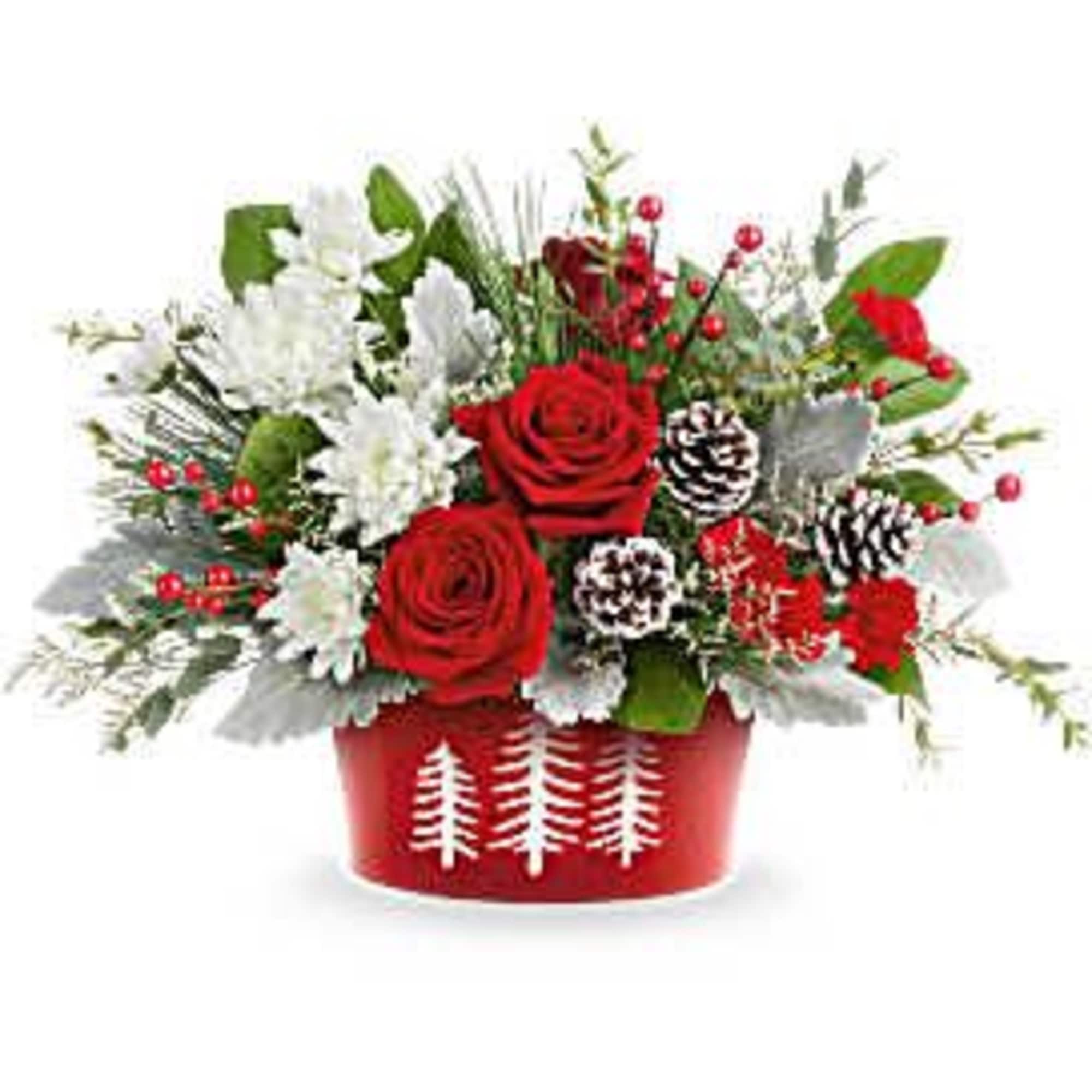 Celebrate the season with Teleflora&#039;s Snowy Pines Centerpiece. Bursting with red roses