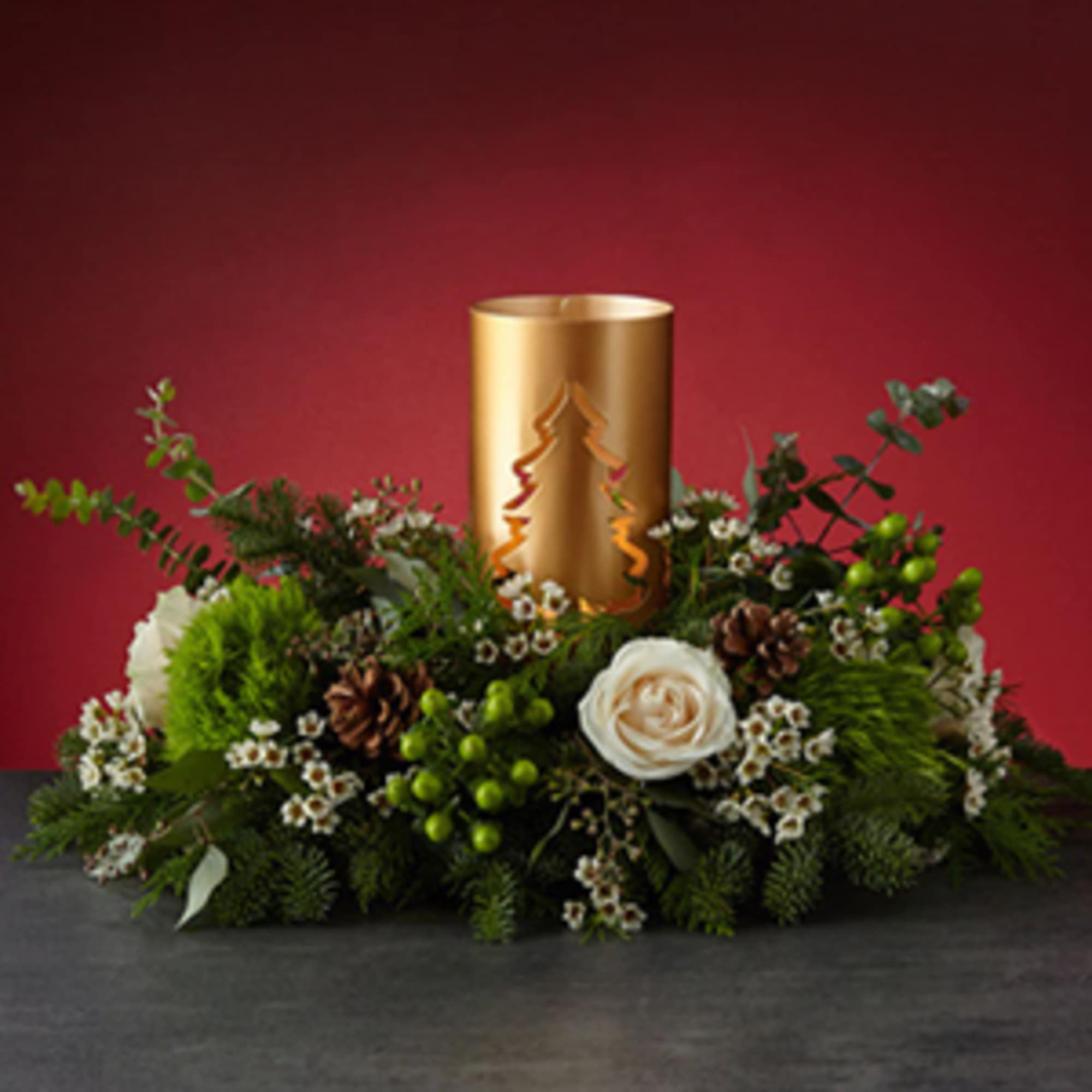 Light the way to a silent night snuggled around the Evening Evergreen