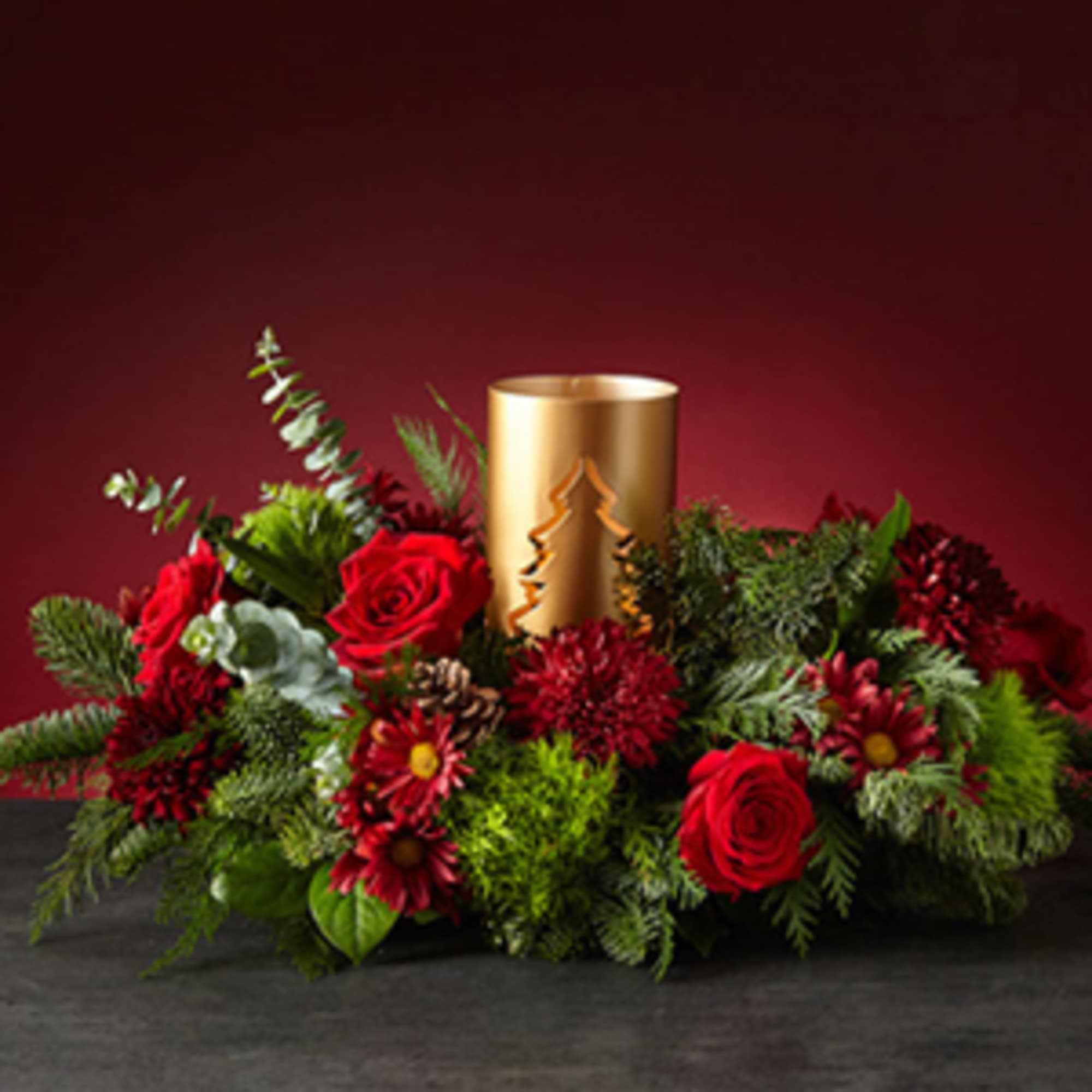 Rekindle your appreciation for the beauty of a winter landscape with our