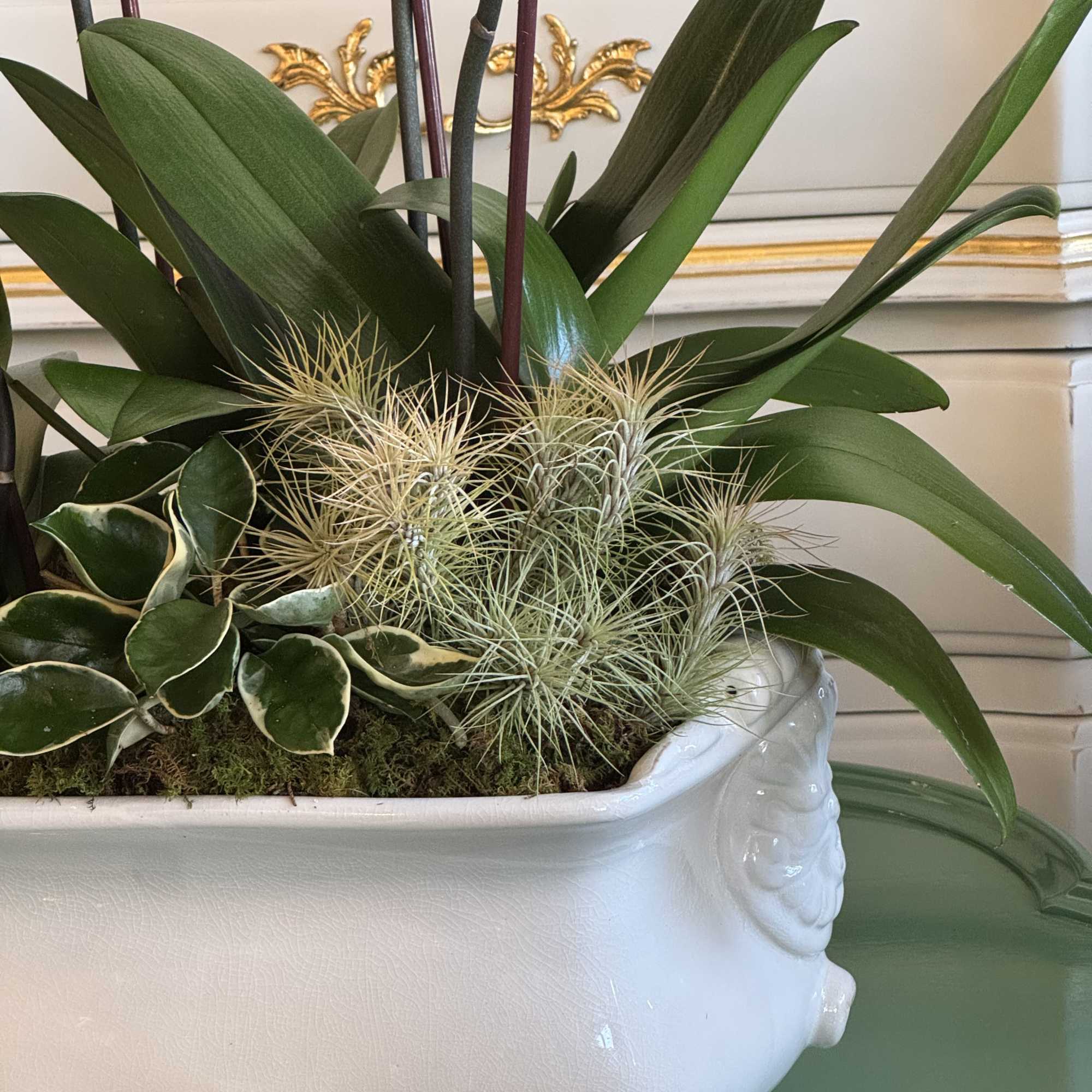 A breathtaking display of elegance, Spectacularly White features four tall, pristine white