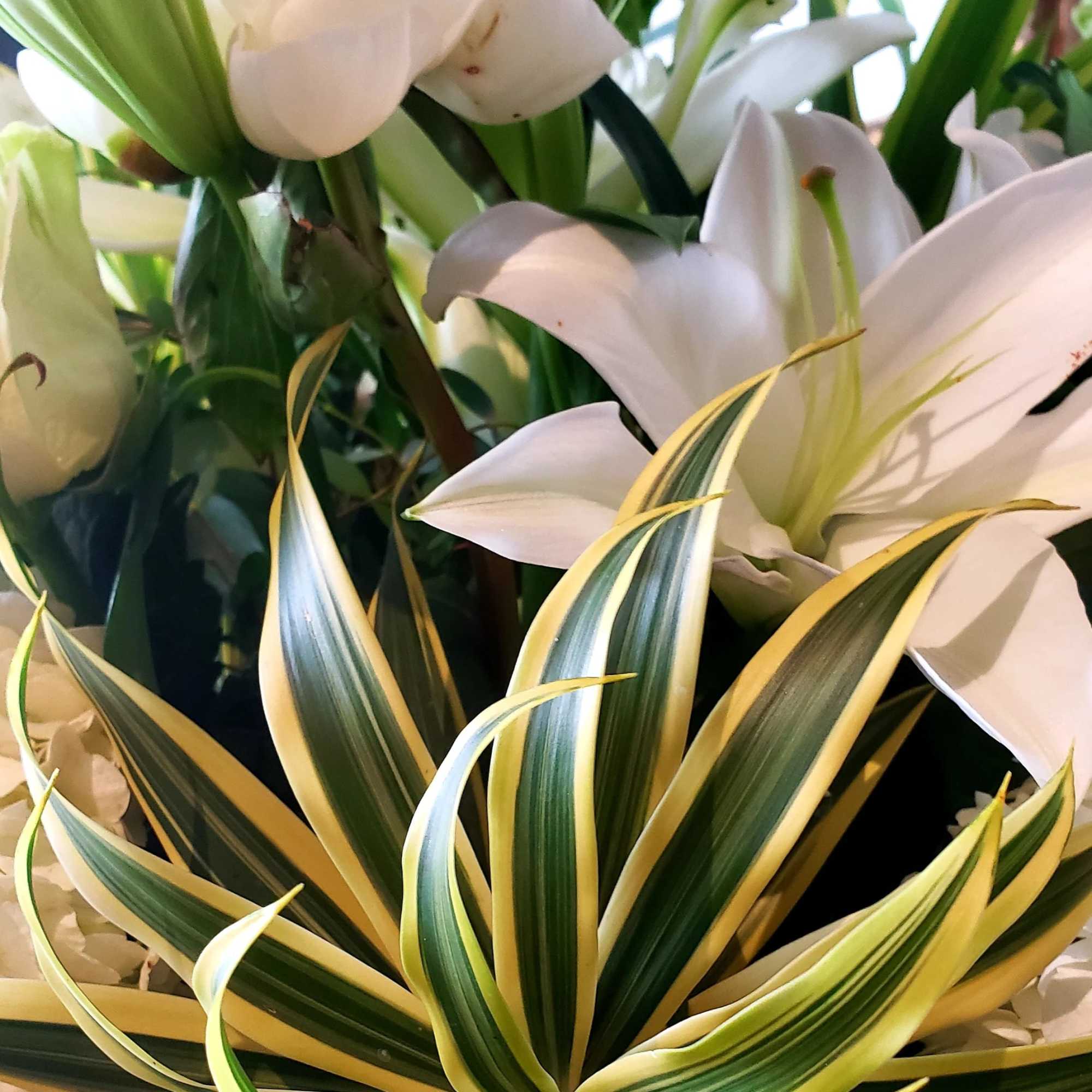 Elegance and purity come together in this breathtaking arrangement, featuring a large