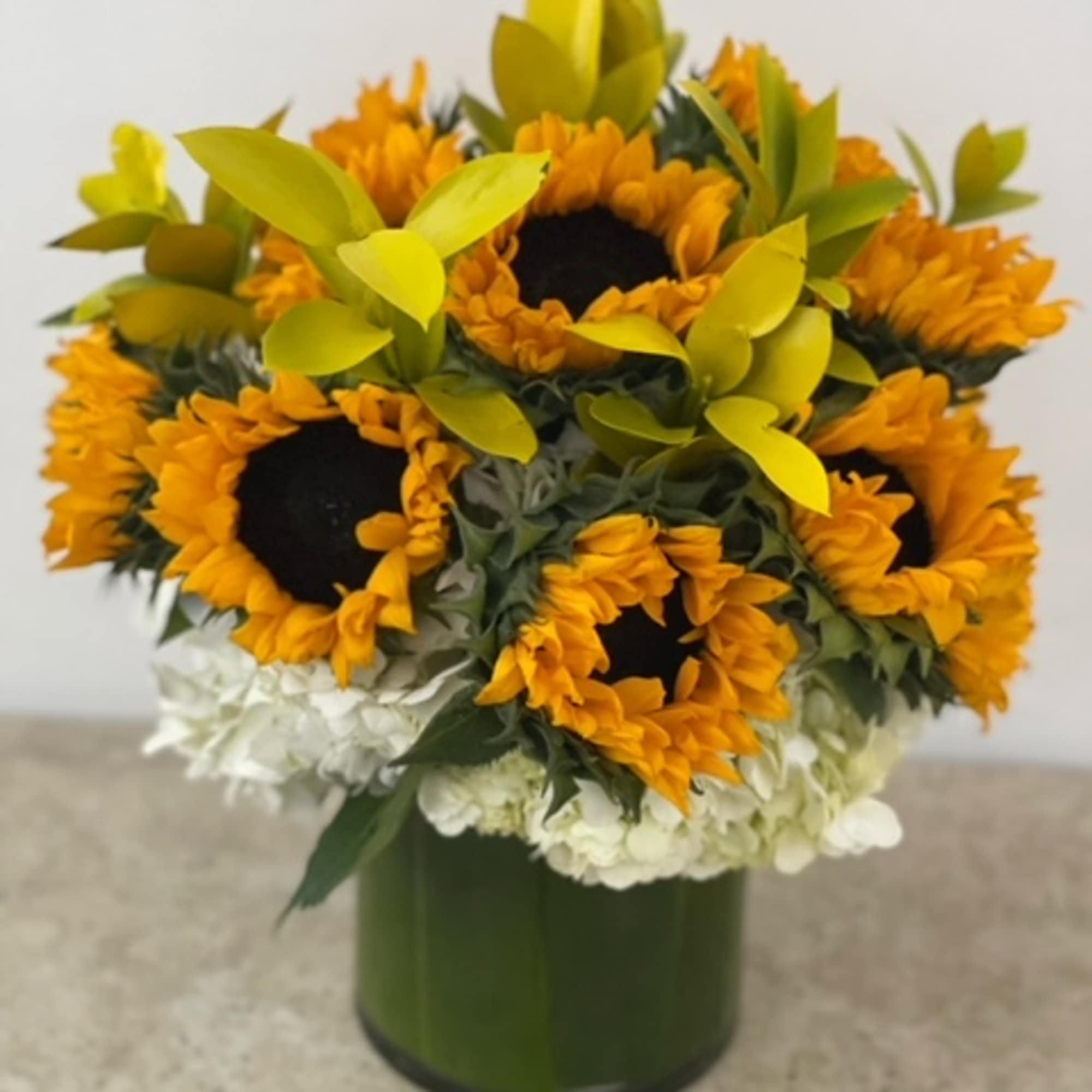 Bask in the warm embrace of the sun&#039;s golden rays with the