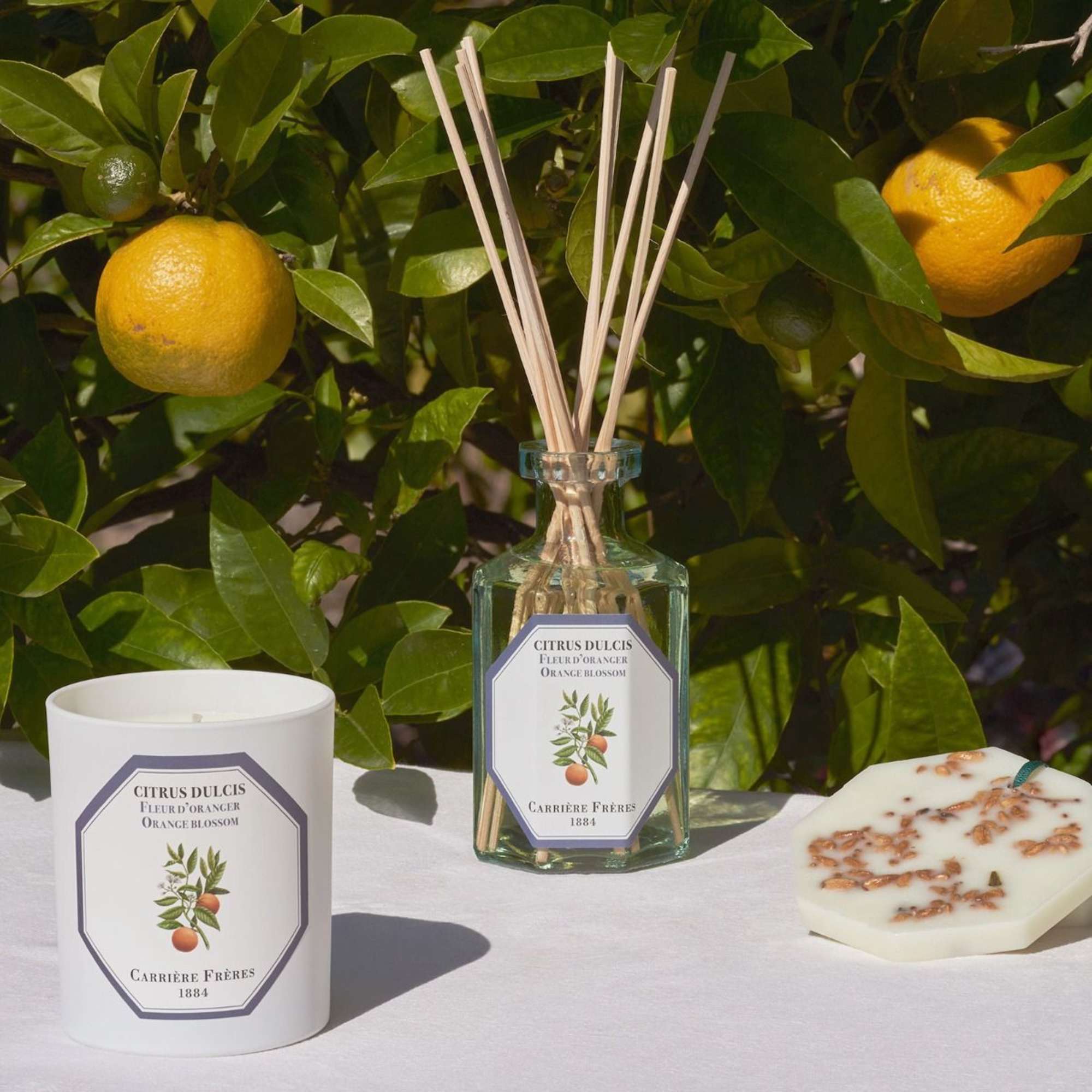 &quot;Mon Ch&eacute;ri,&quot; which translates to &quot;My Darling&quot; in French, is a term