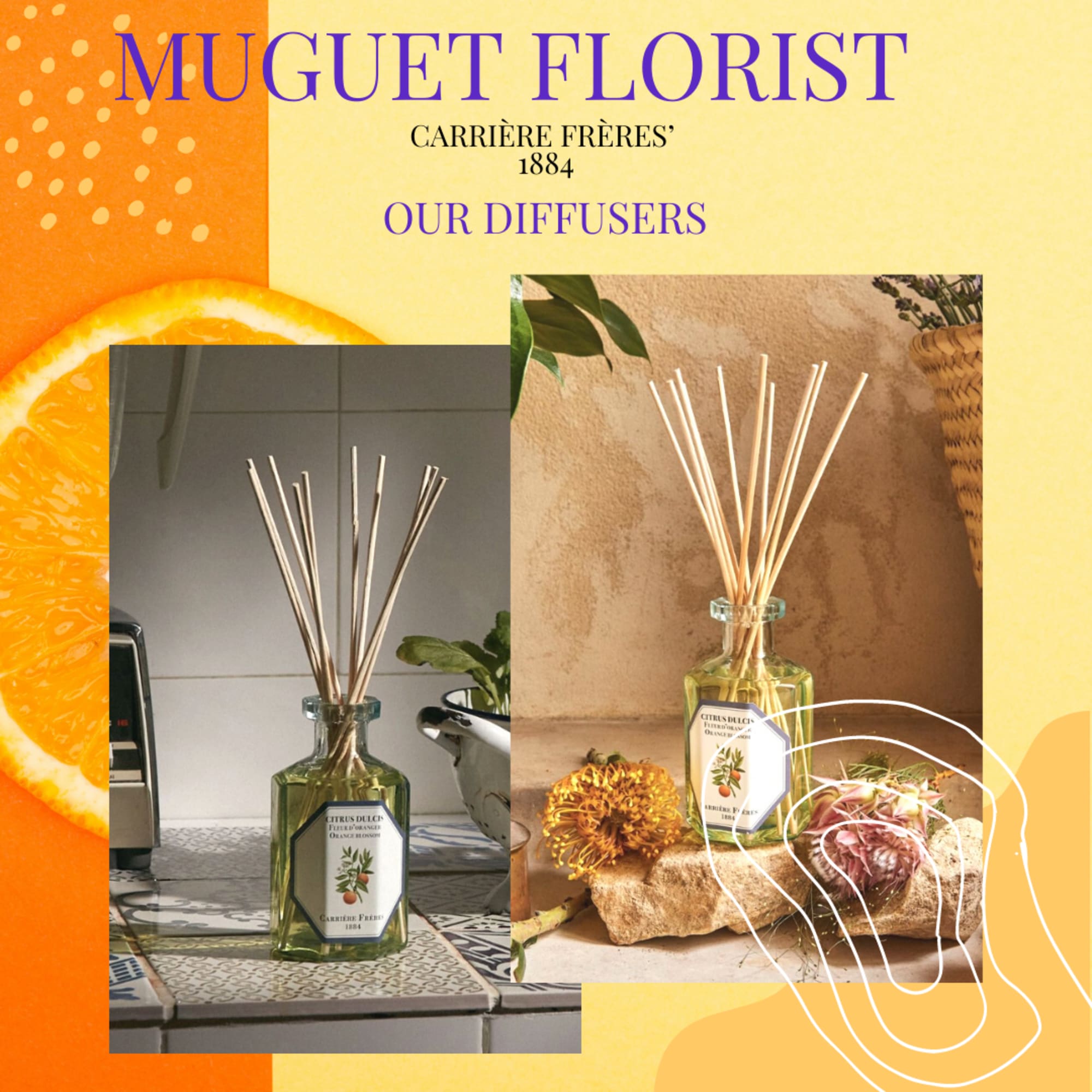 A white flower that heralds warm days, orange blossom grows on the