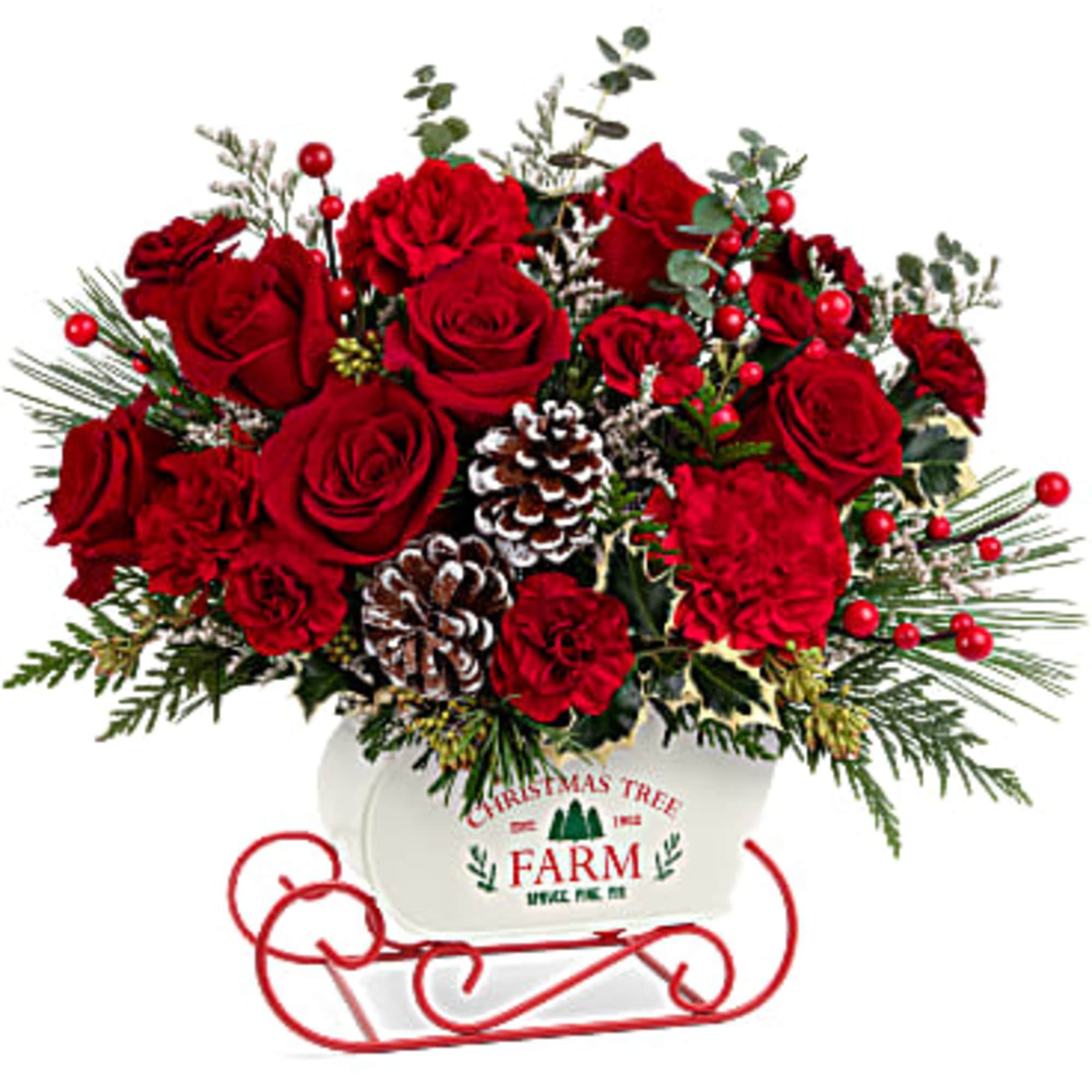 Teleflora&#039;s Snow What Fun Bouquet features red carnations, miniature red carnations and