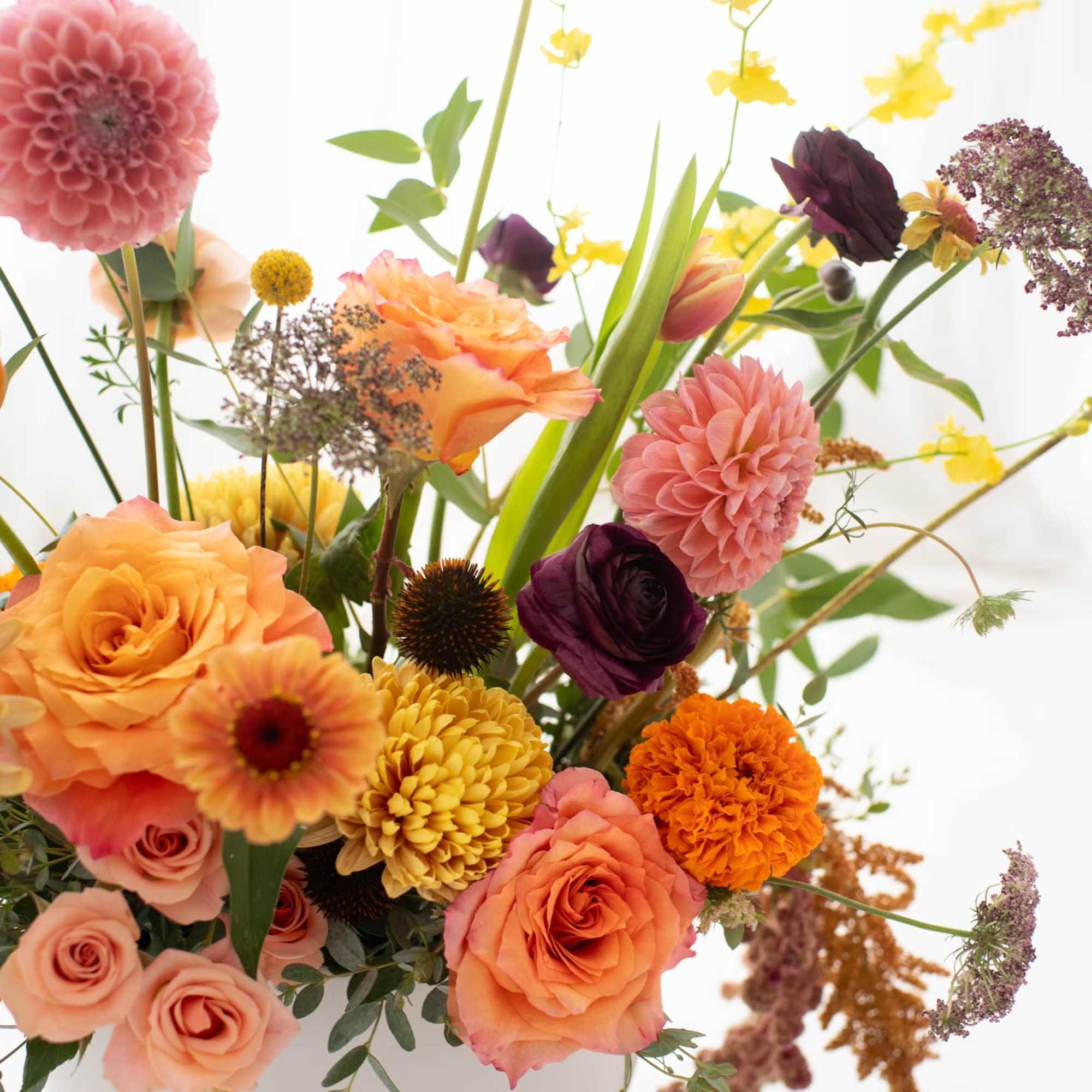 A striking blend of premium fall blooms artfully arranged in a sleek