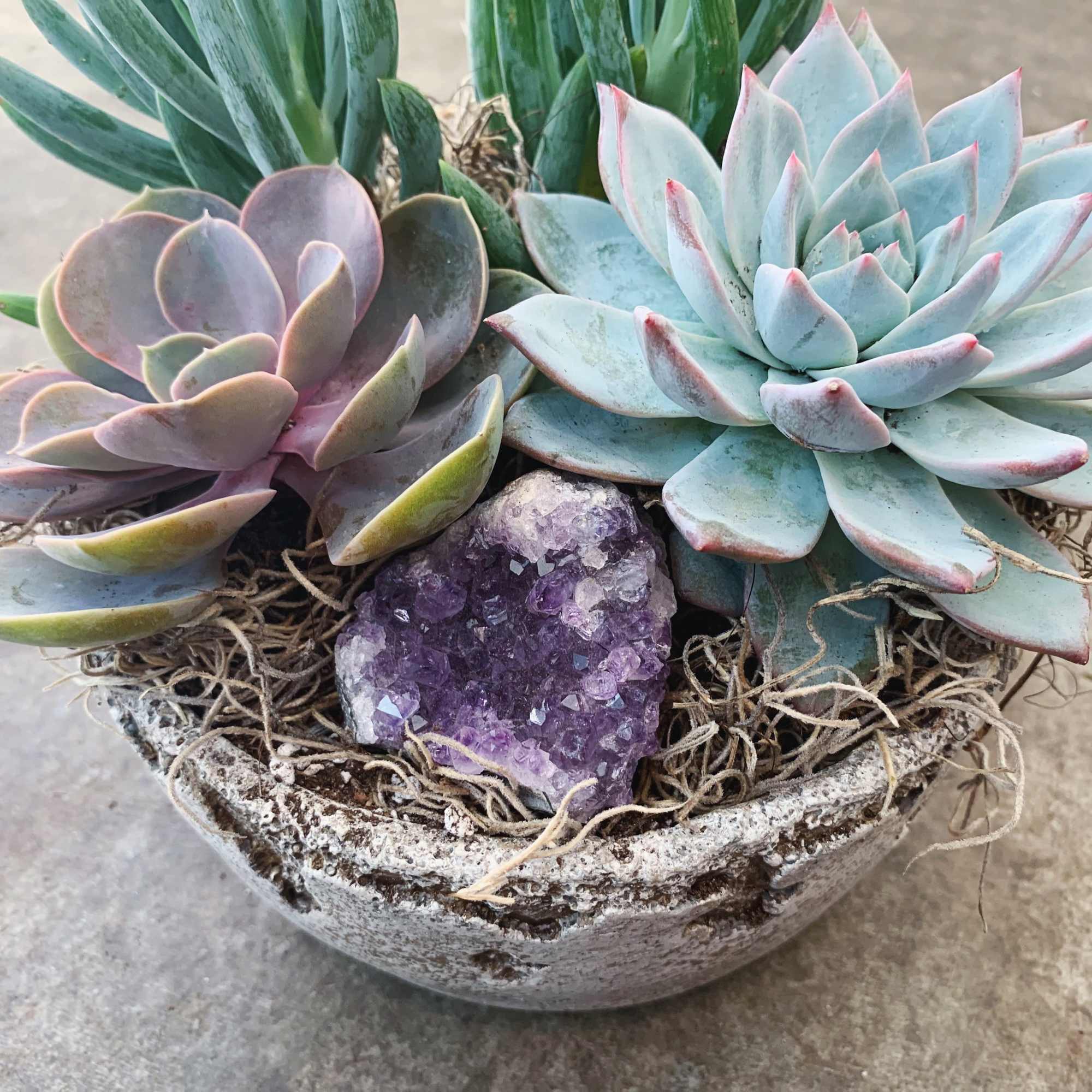 A trio of succulents with an amethyst crystal in a ceramic pot.
