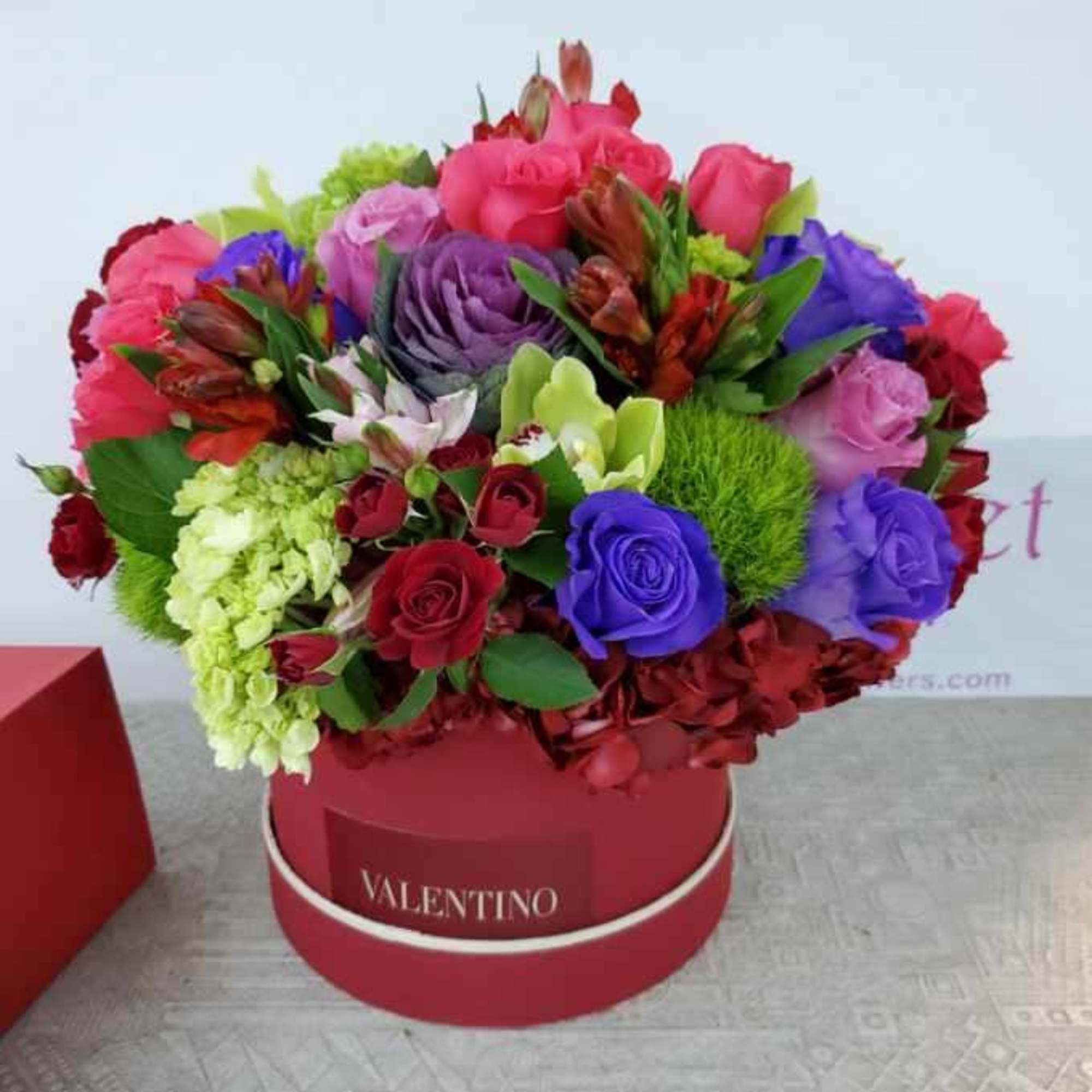 Immerse yourself in a world of timeless romance and vibrant emotions with