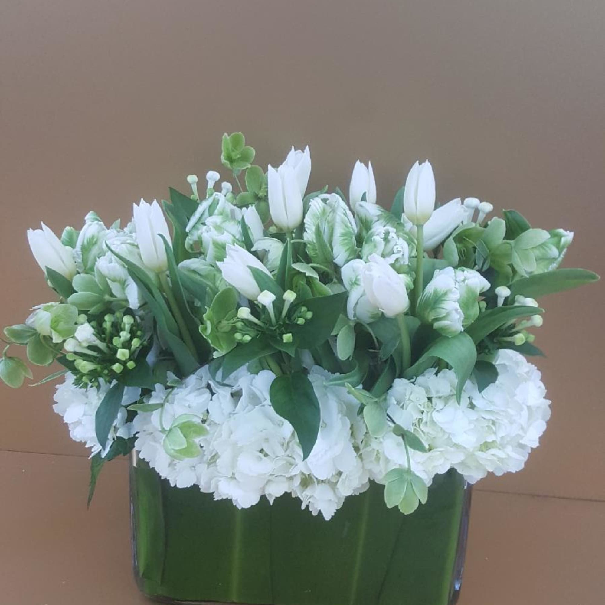 With their graceful stems and elegant, cup-shaped blooms, Tulips hold a special