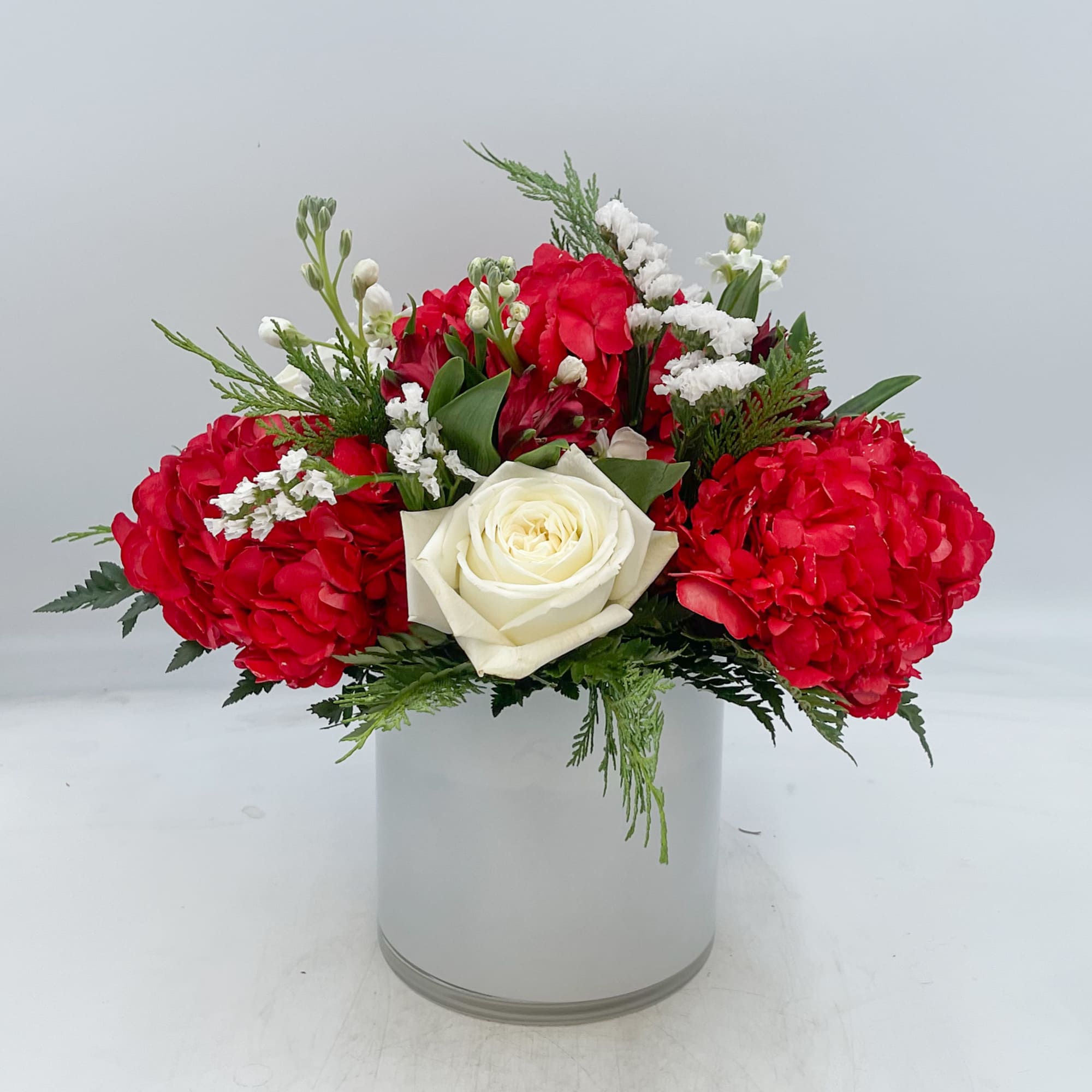 A fun Christmas arrangement, Candy Cane Lane features tinted Red Hydrangea, White