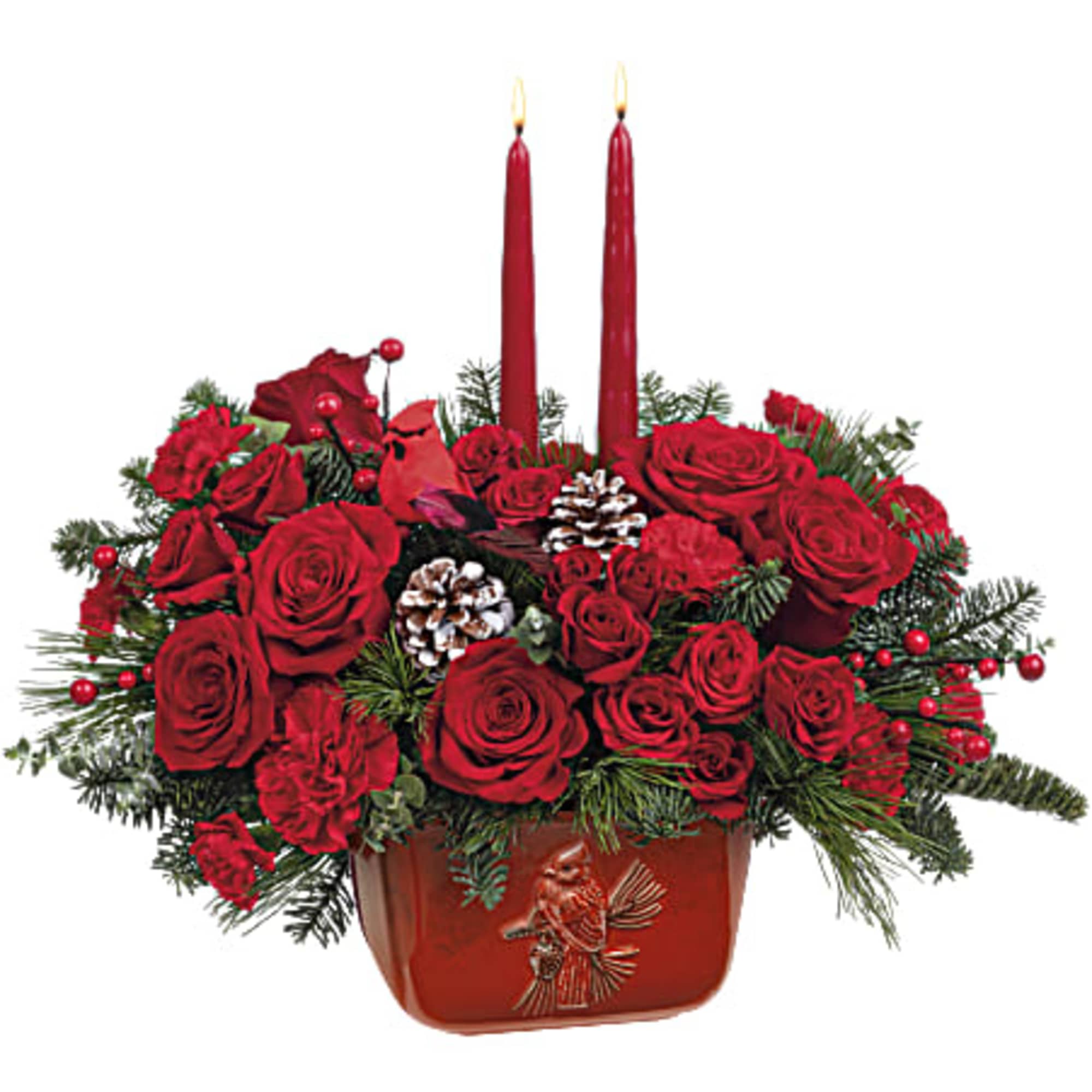 Take a flight of fancy this festive season with a radiant Christmas