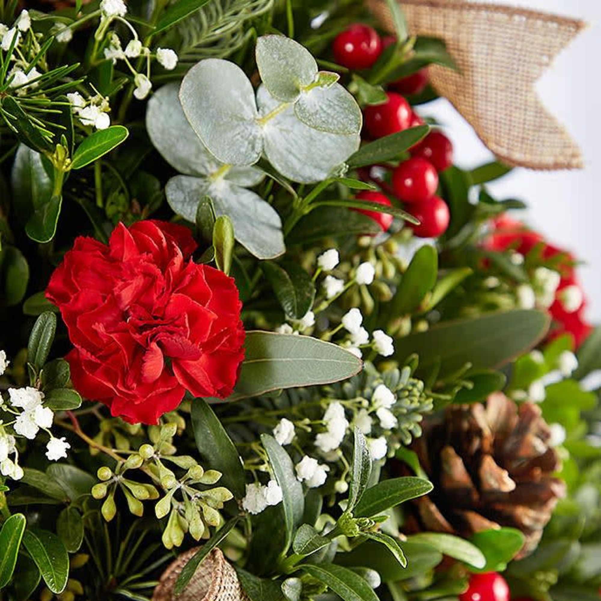 An even cozier version of our perennial favorite, this year&rsquo;s holiday flower
