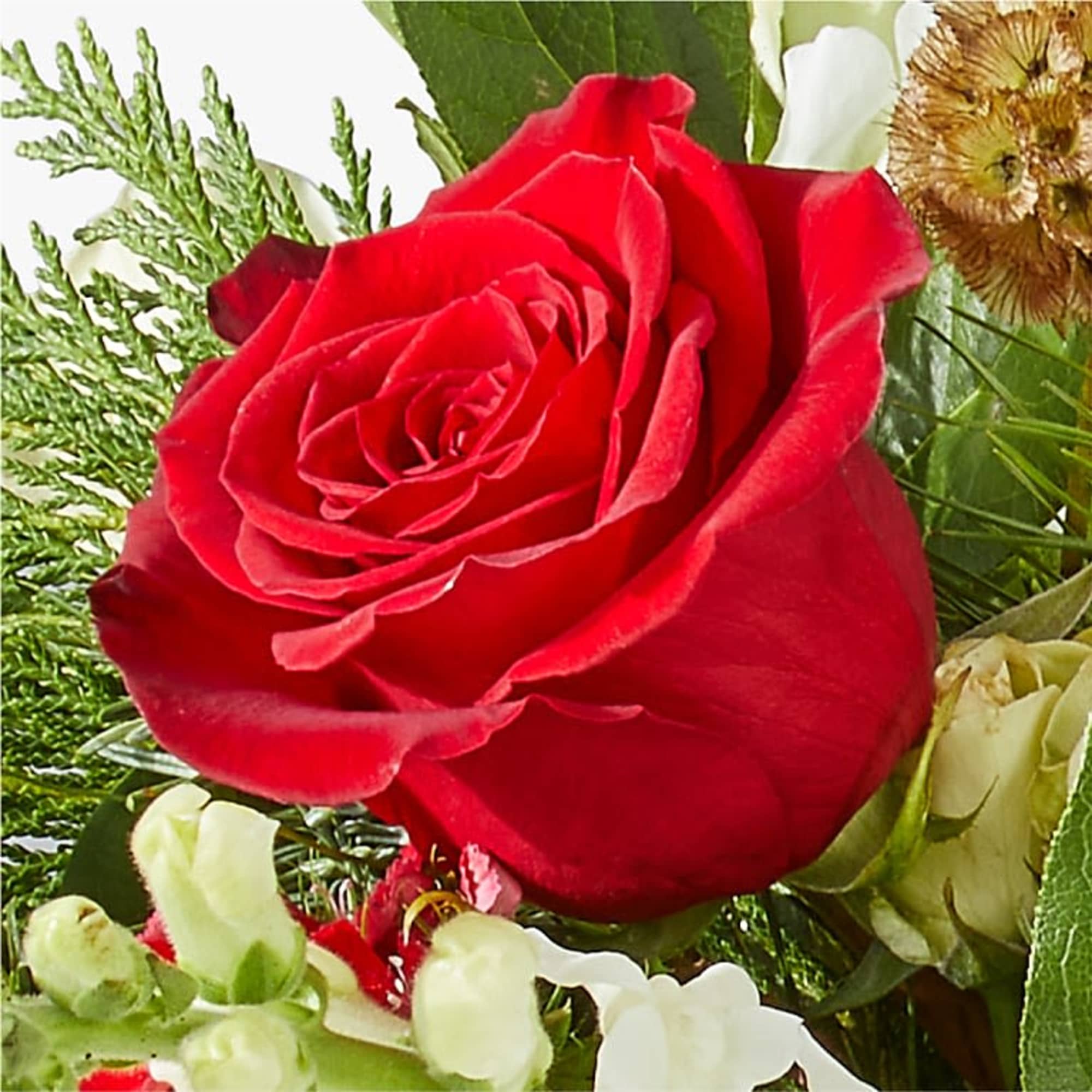 Celebrate the festive season in vibrant style with the Deck the Halls Bouquet&mdash;an elegant holiday