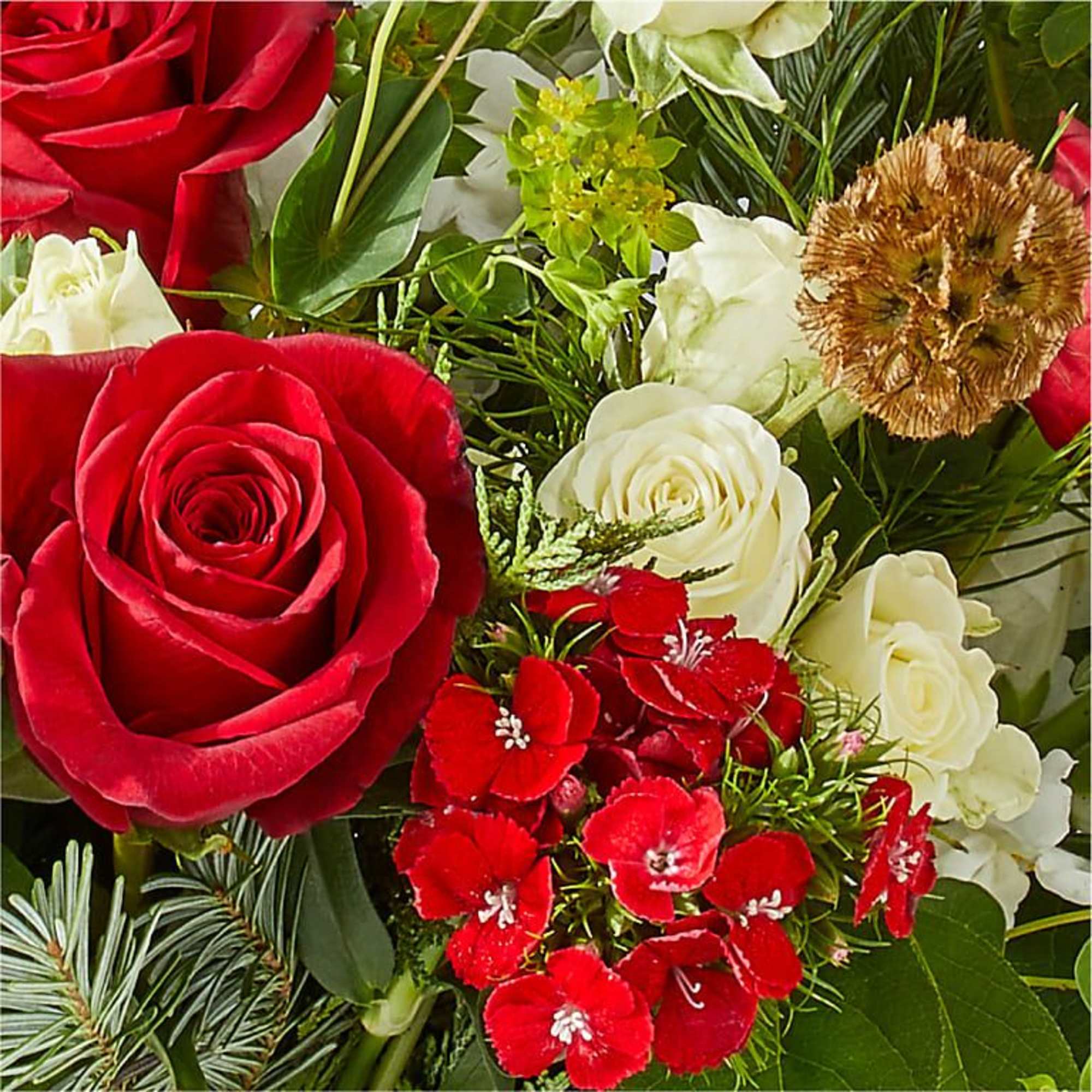 Celebrate the festive season in vibrant style with the Deck the Halls Bouquet&mdash;an elegant holiday