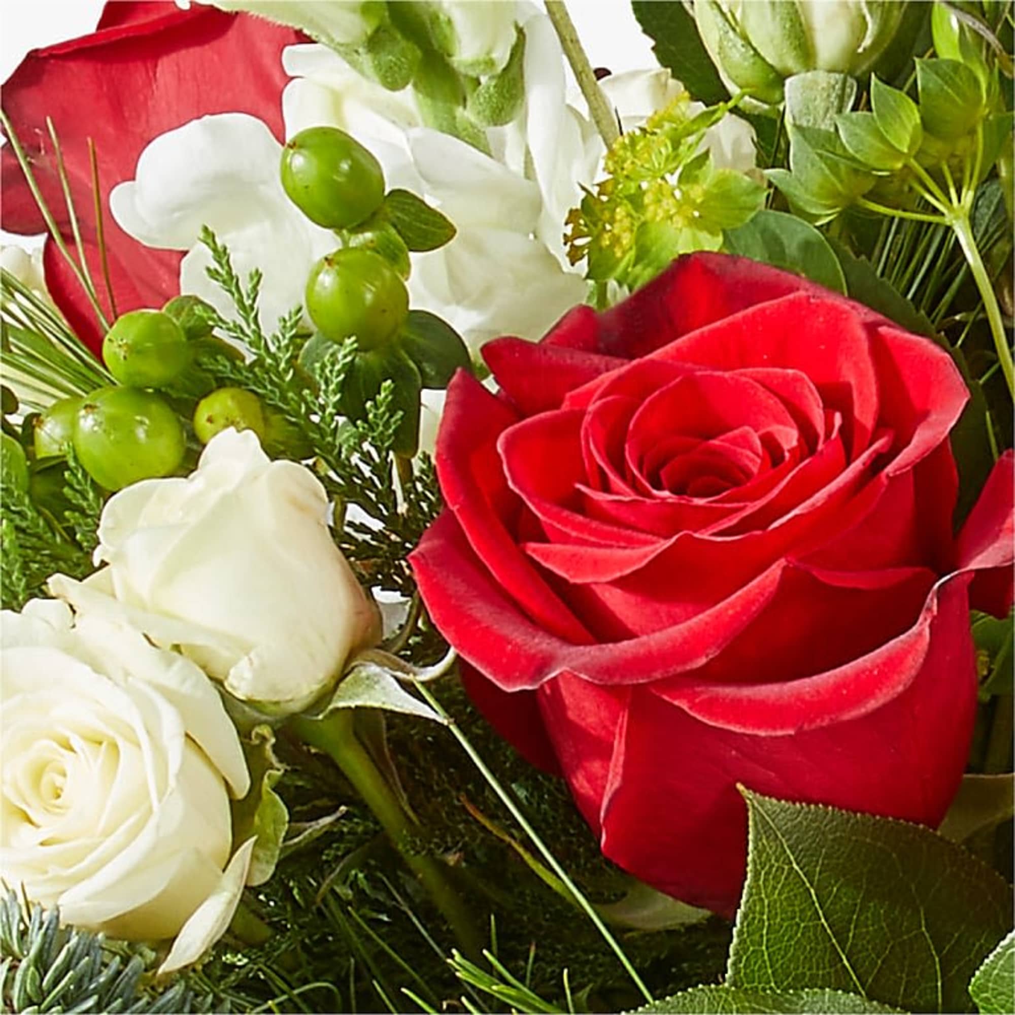 Celebrate the festive season in vibrant style with the Deck the Halls Bouquet&mdash;an elegant holiday