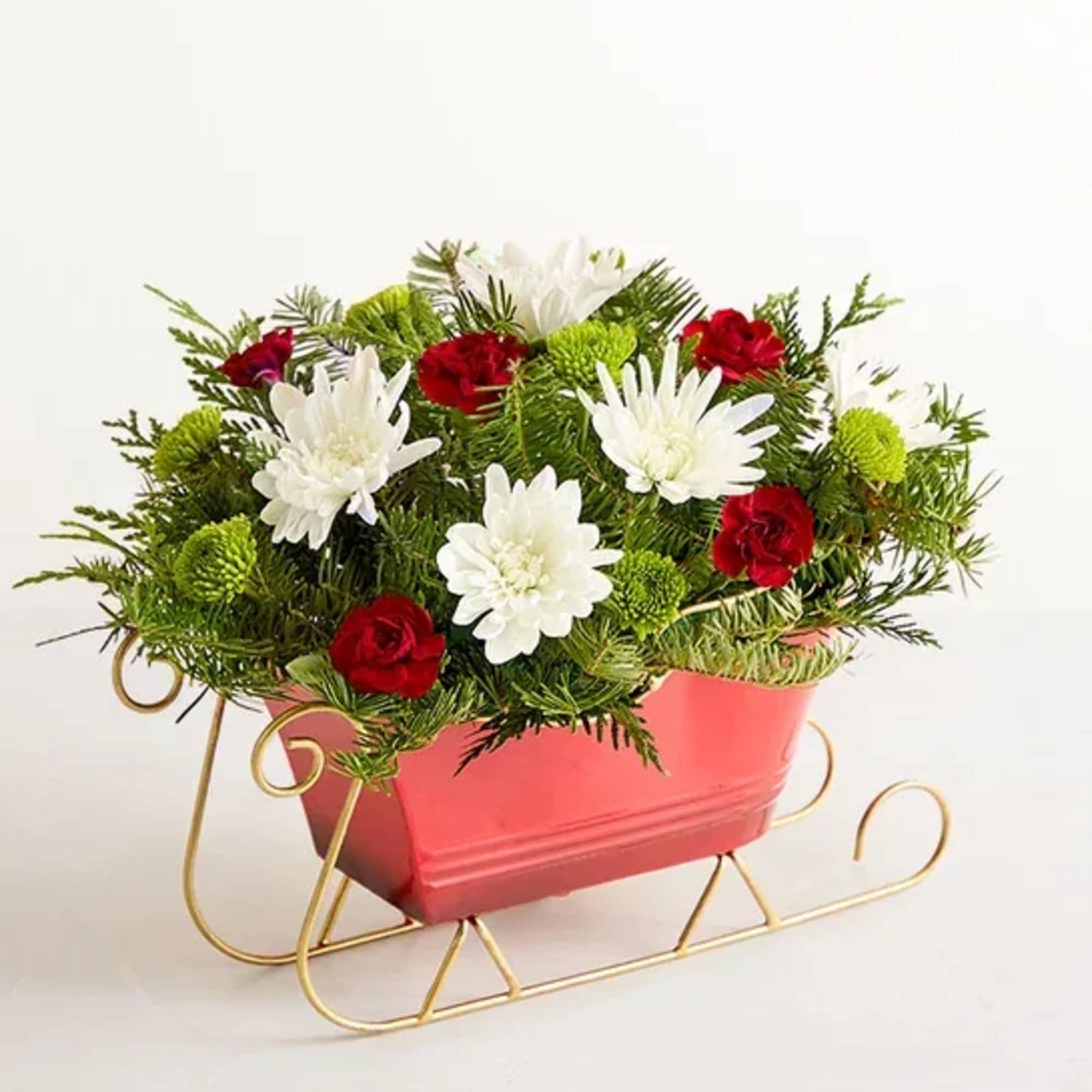 Send holiday joy their way! Our dashing arrangement features classic Christmas-colored blooms