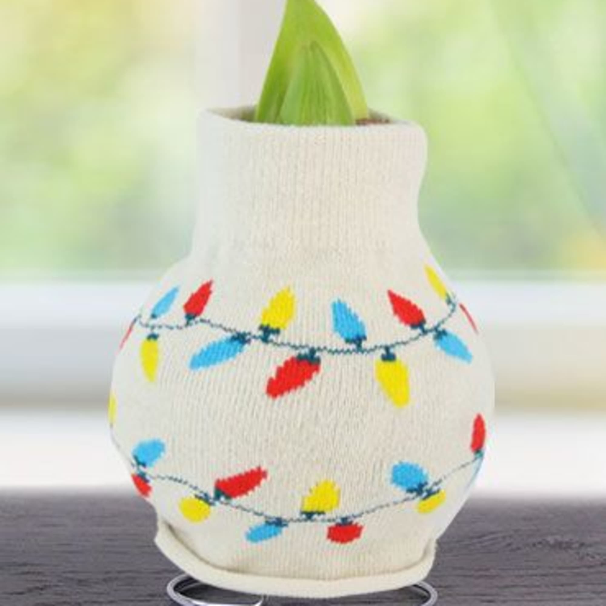 Give your holiday d&eacute;cor a cozy touch with this amaryllis bulb wrapped
