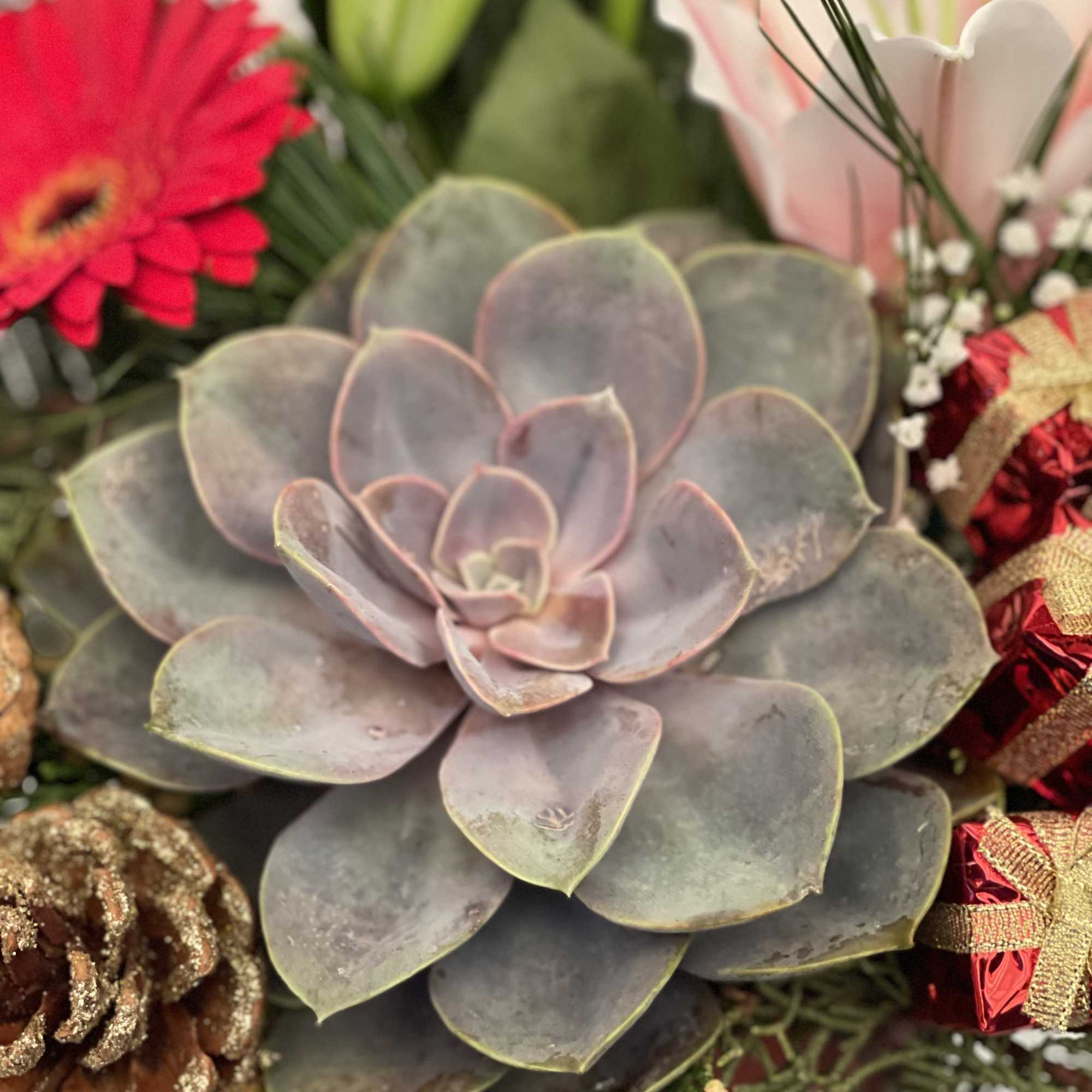 It&rsquo;s a cute 5&rdquo; squared gift box 